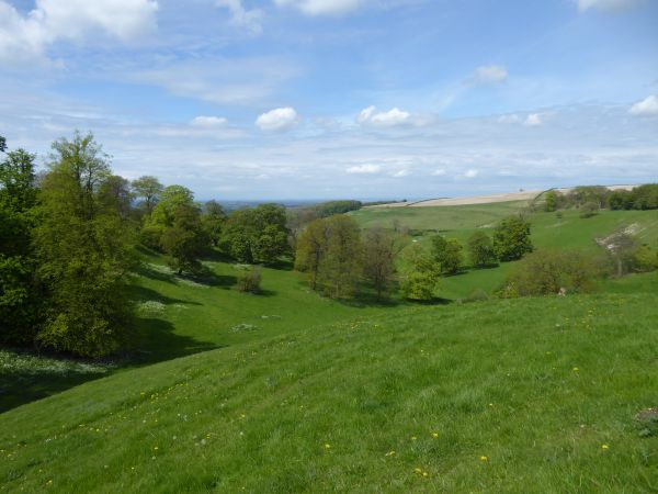 View across rolling countryside