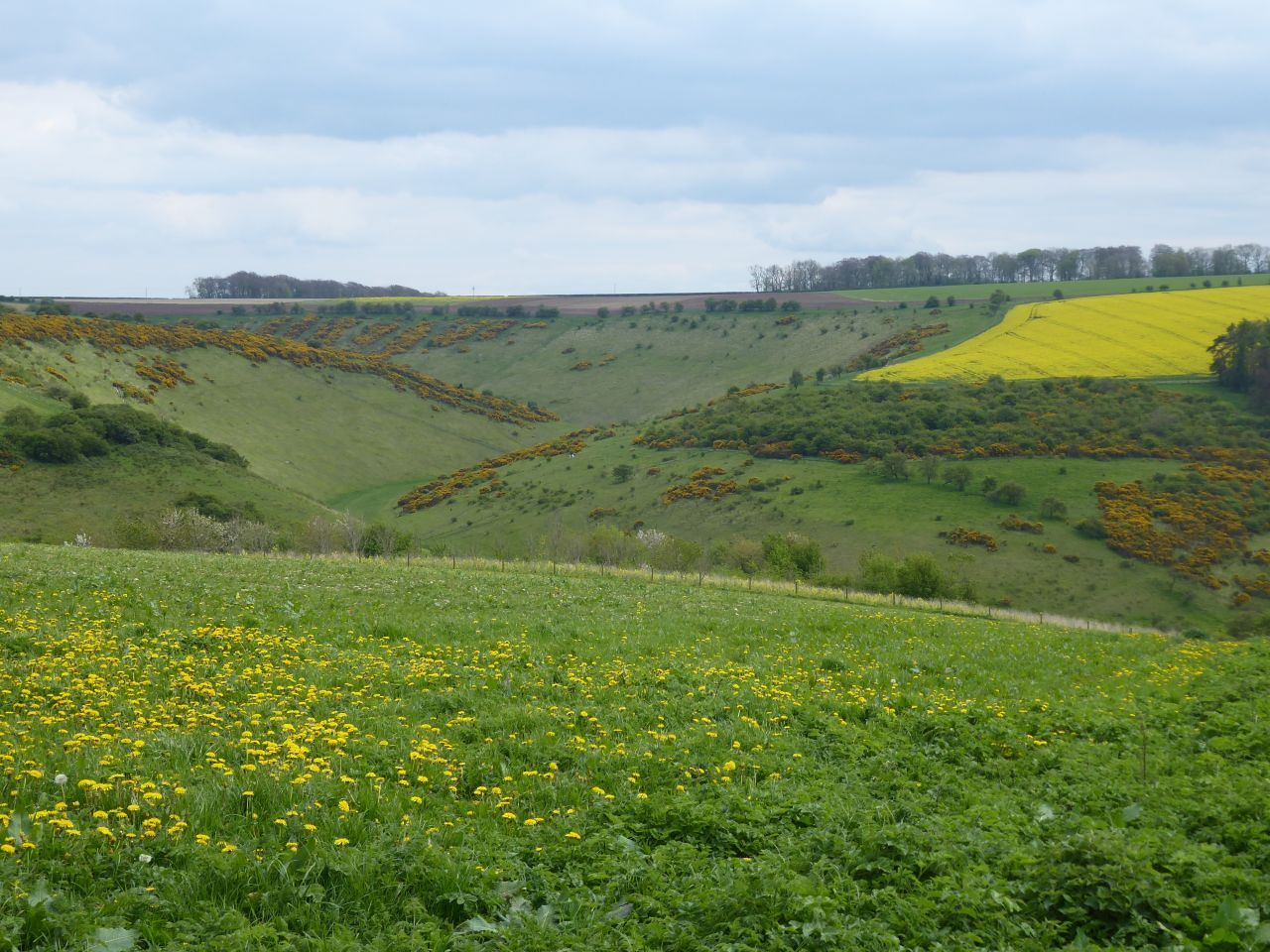Steep-sided valleys covered in gorse