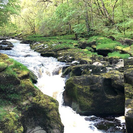 The Strid