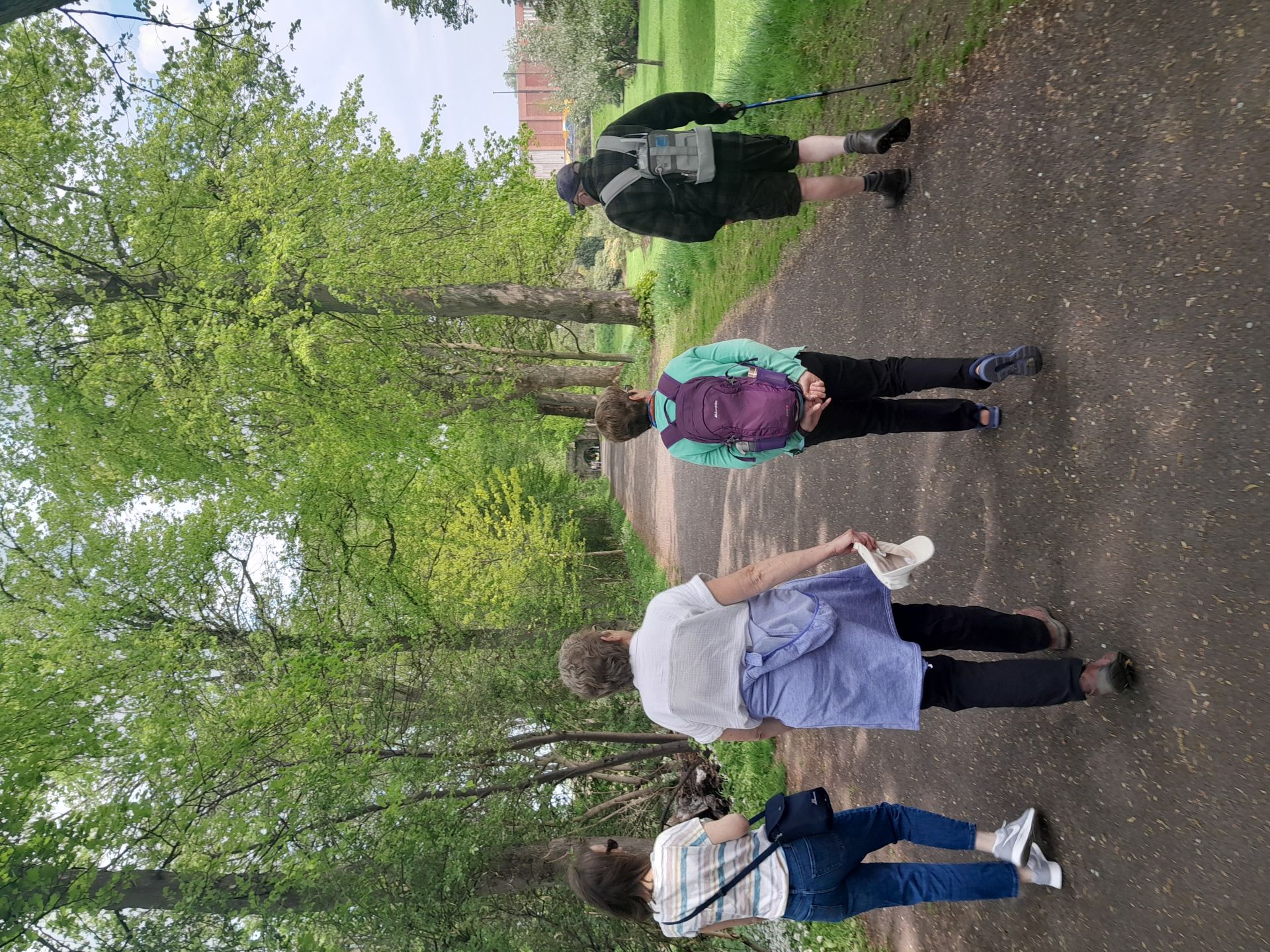 Group strolling in Bitts Park