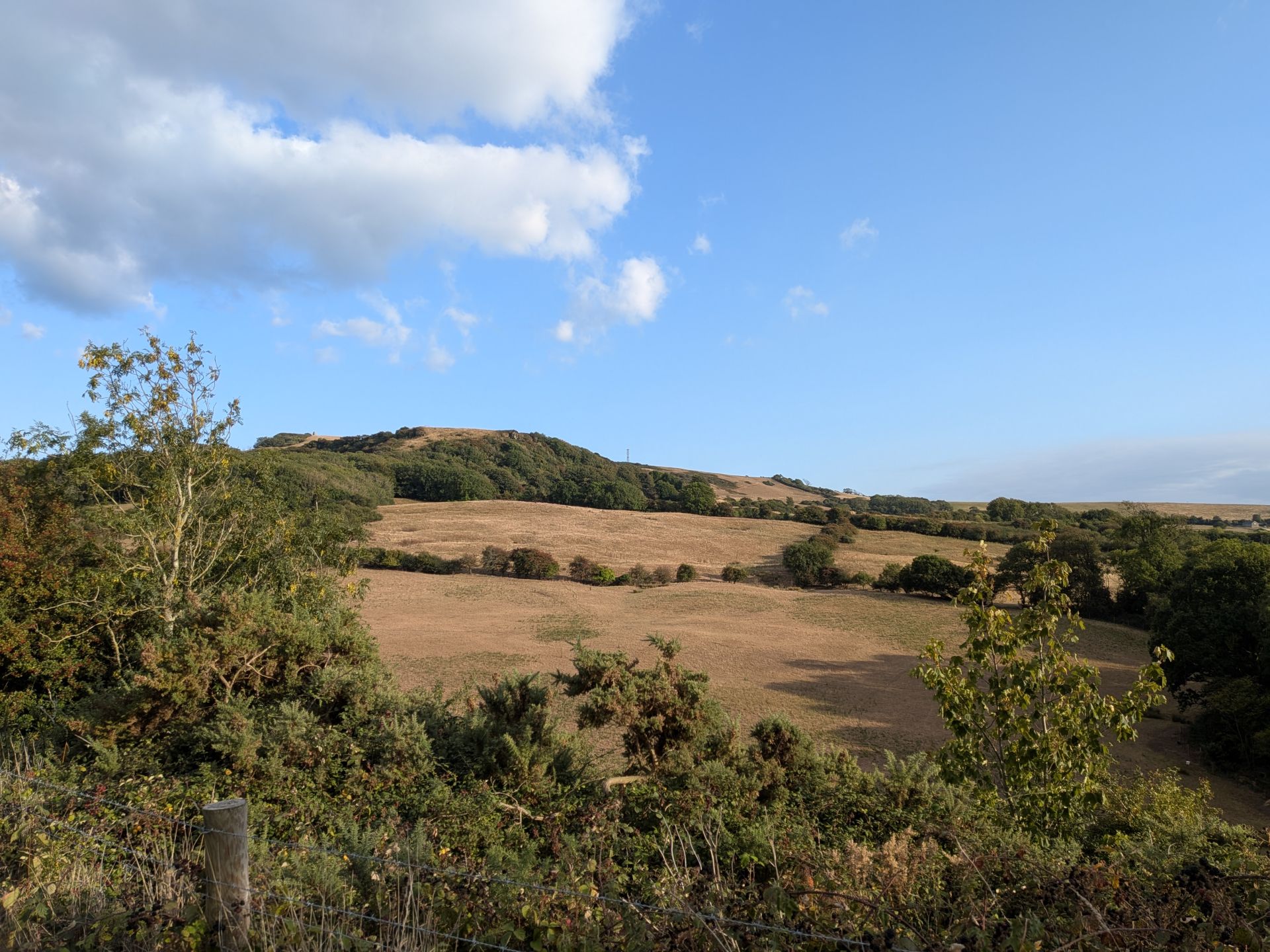 A landscape 