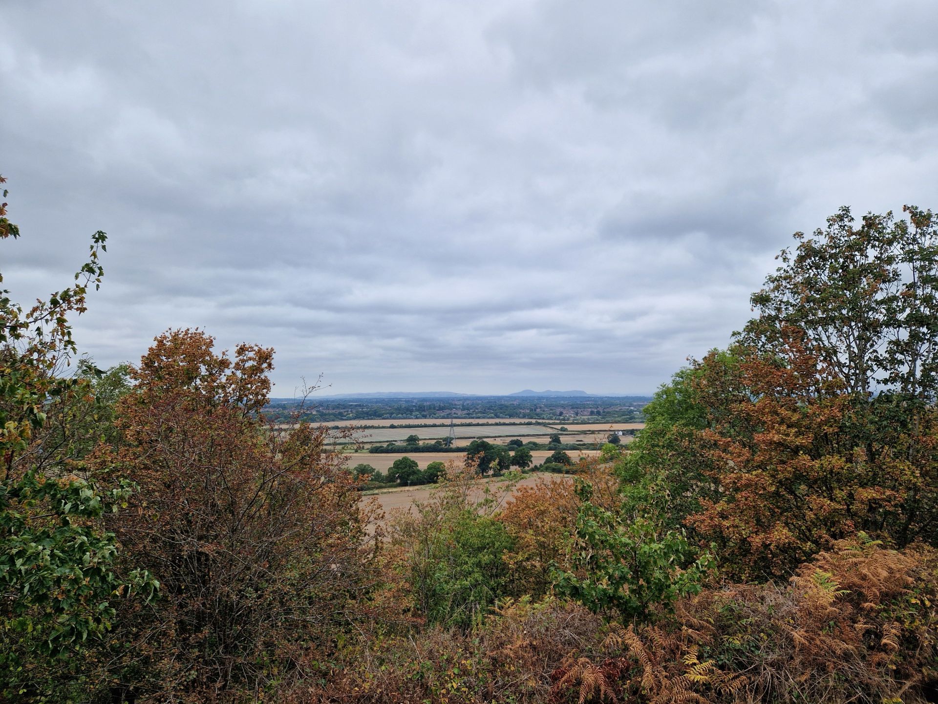 Viewpoint
