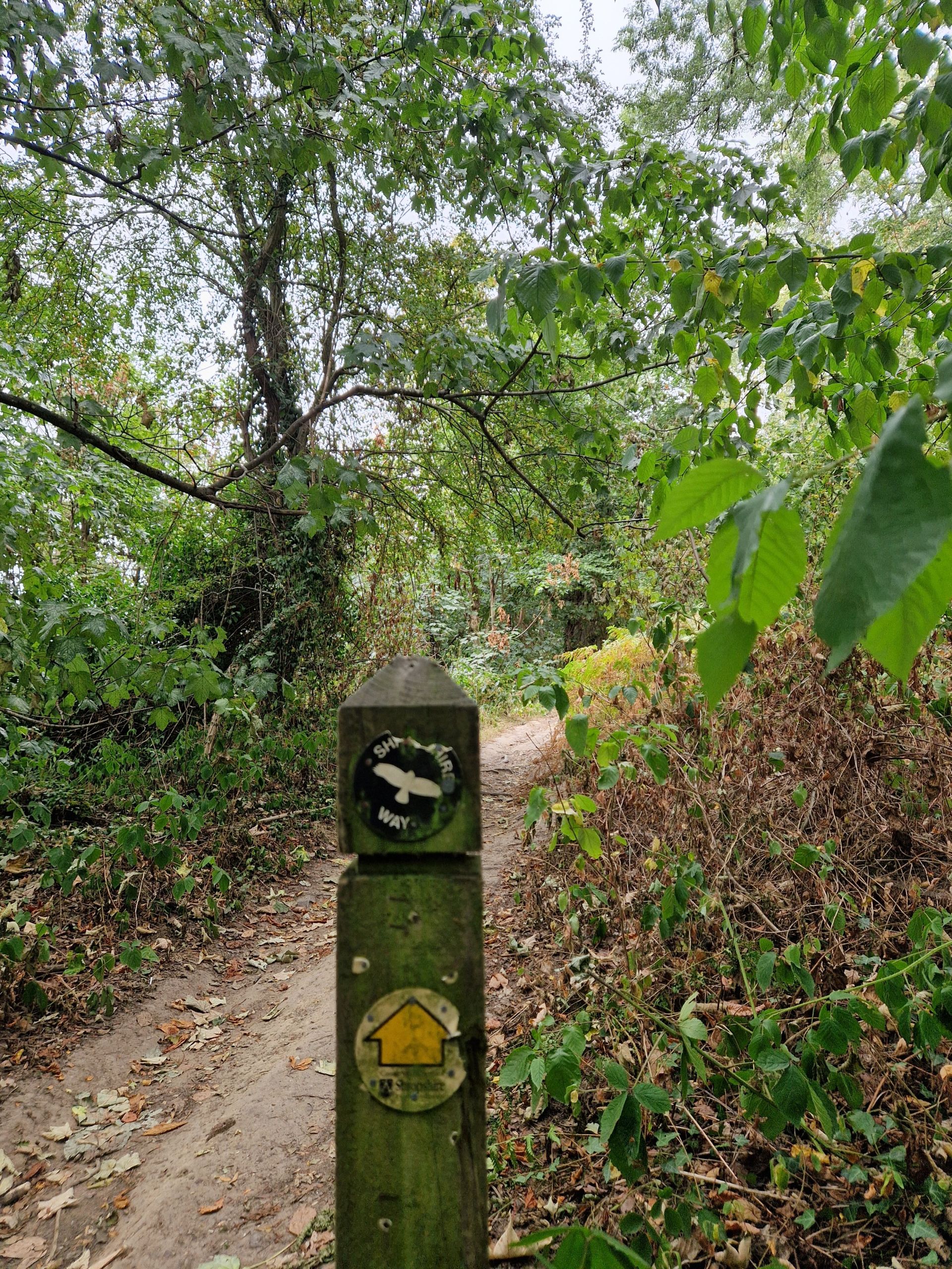 Shropshire Way marker