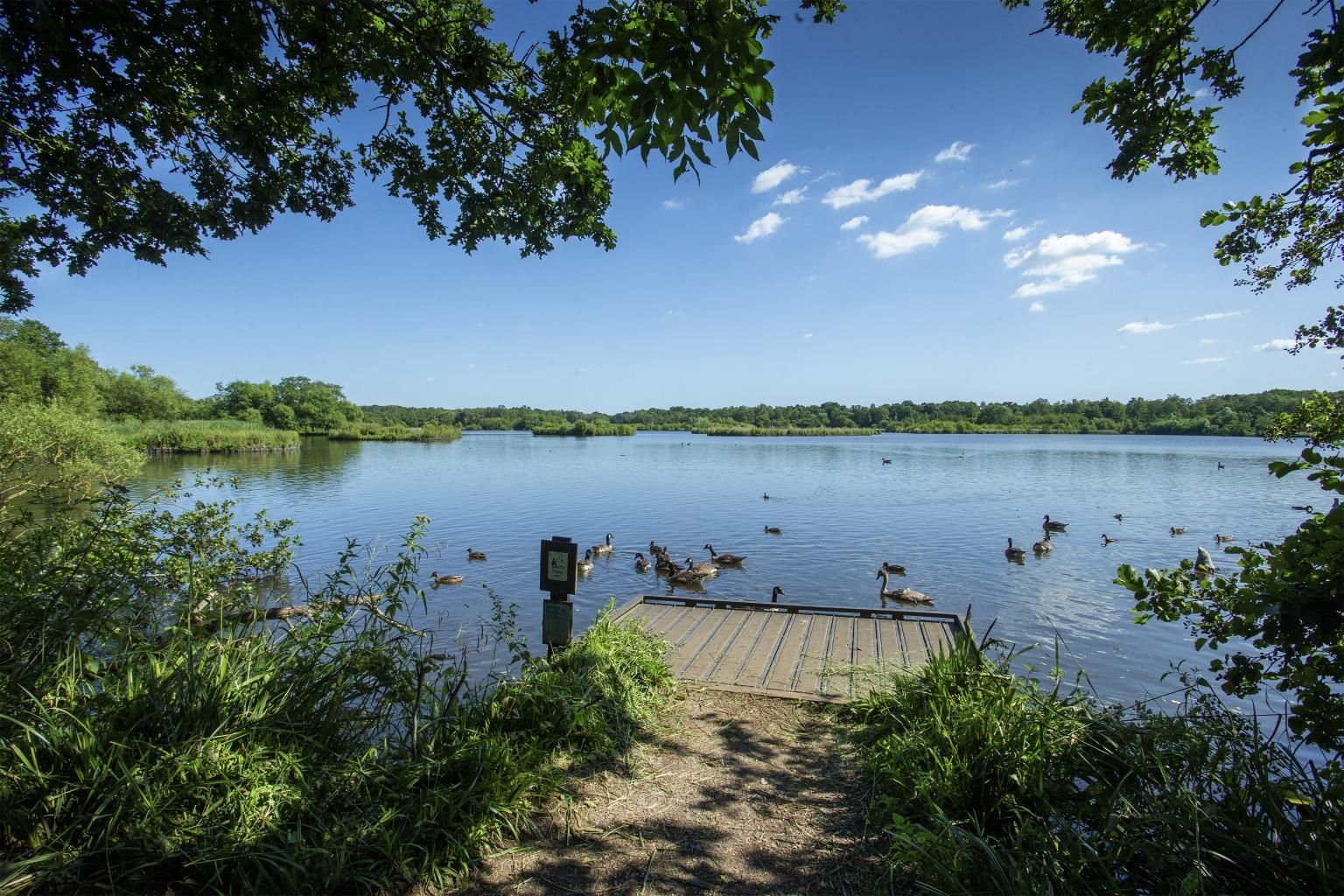 Fleet Pond 