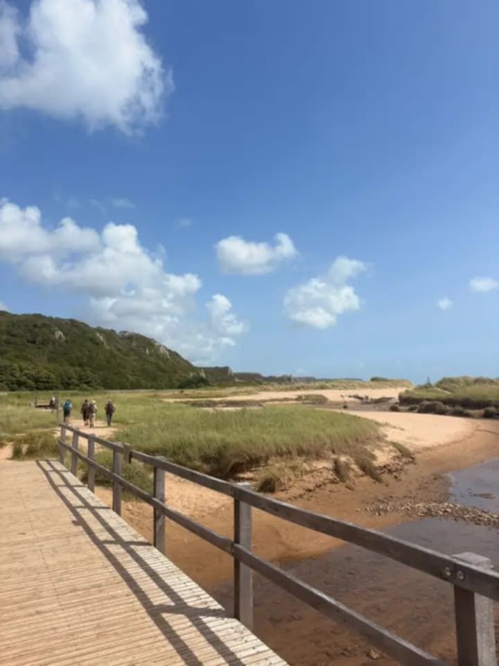 Bridge on the beach
