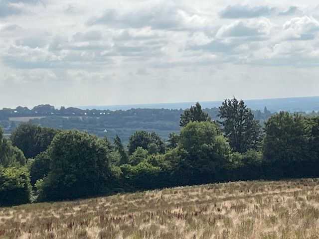 View over fields to hills