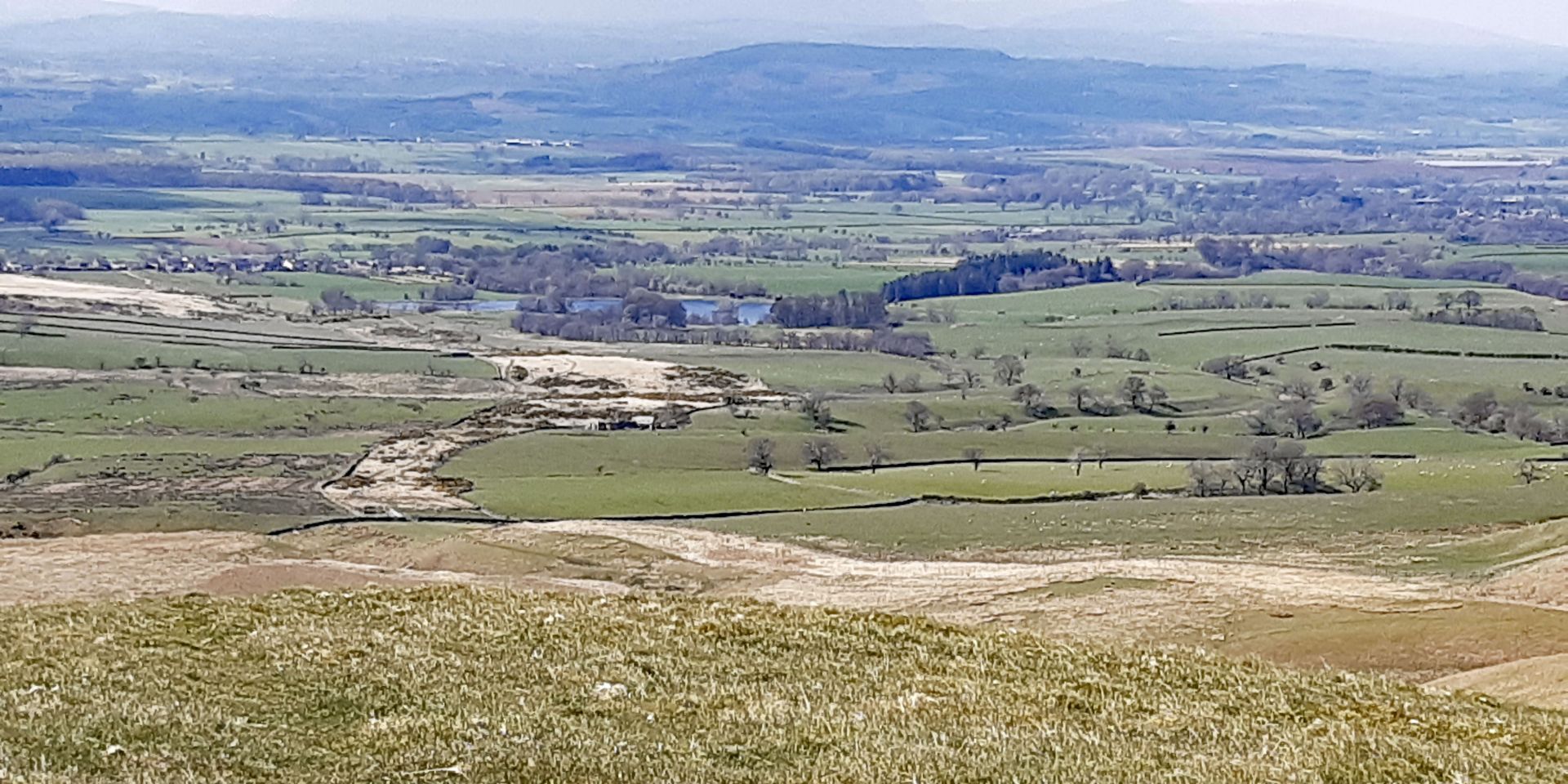 looking west