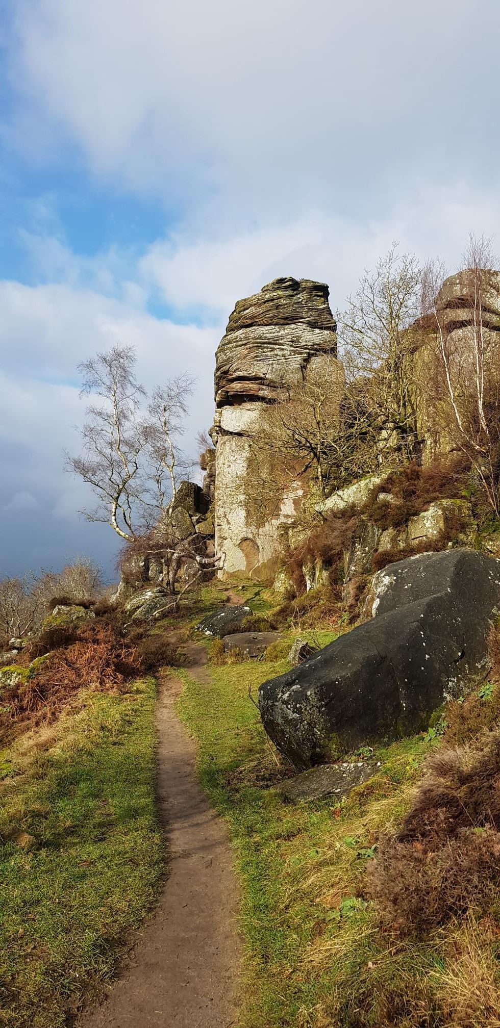 A recent walk
