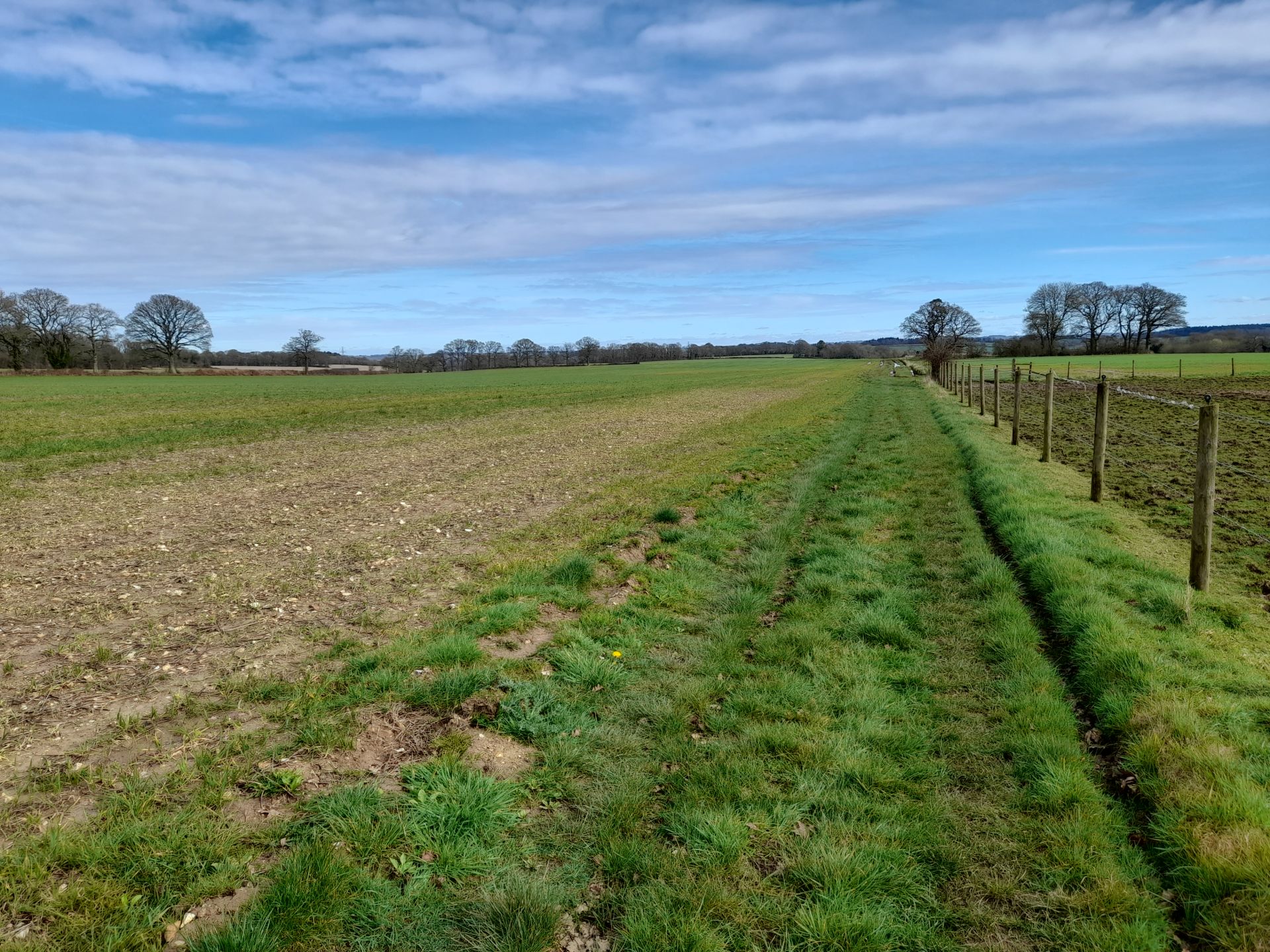 Cheriton Walk