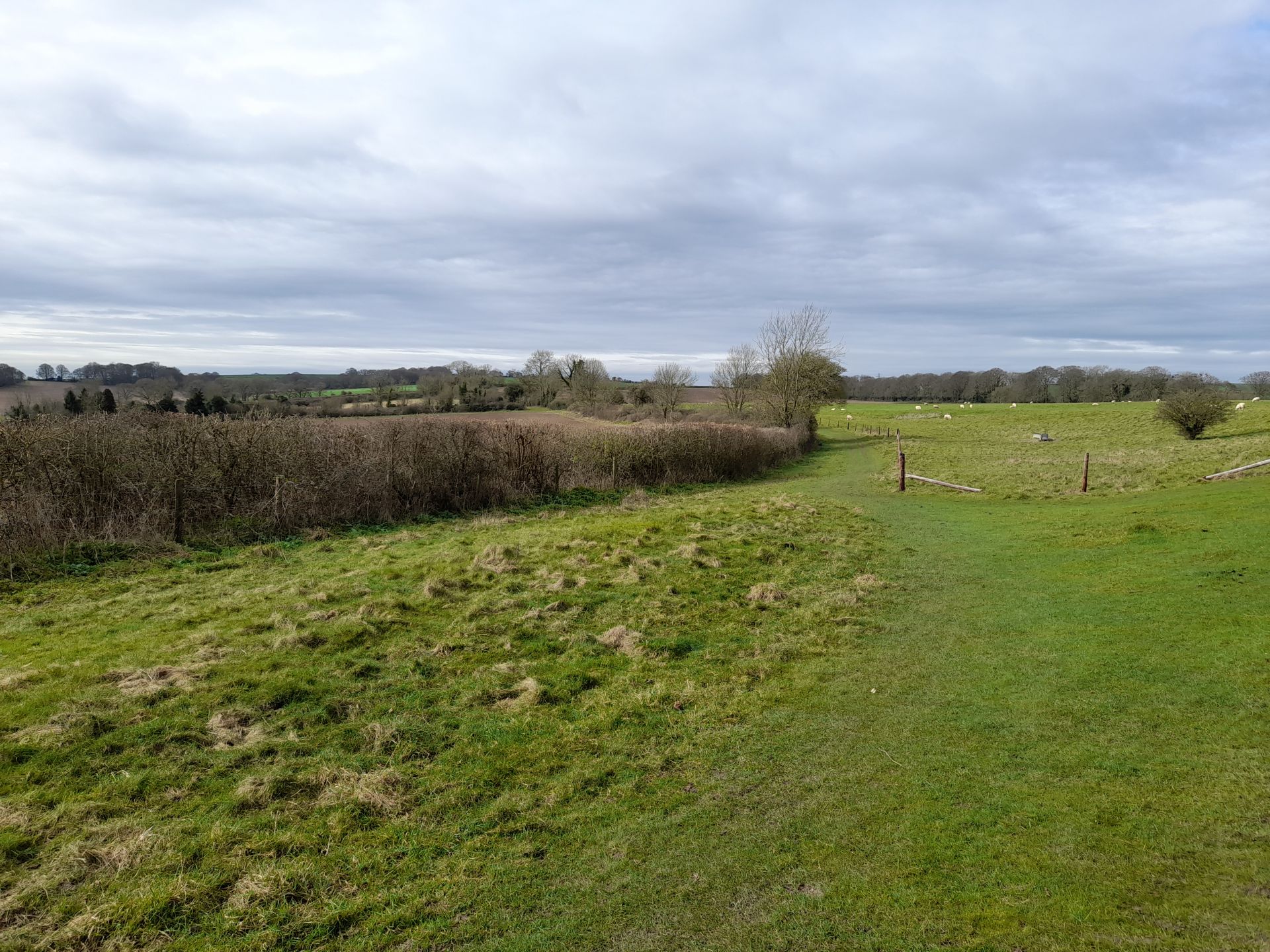 Cheriton Walk