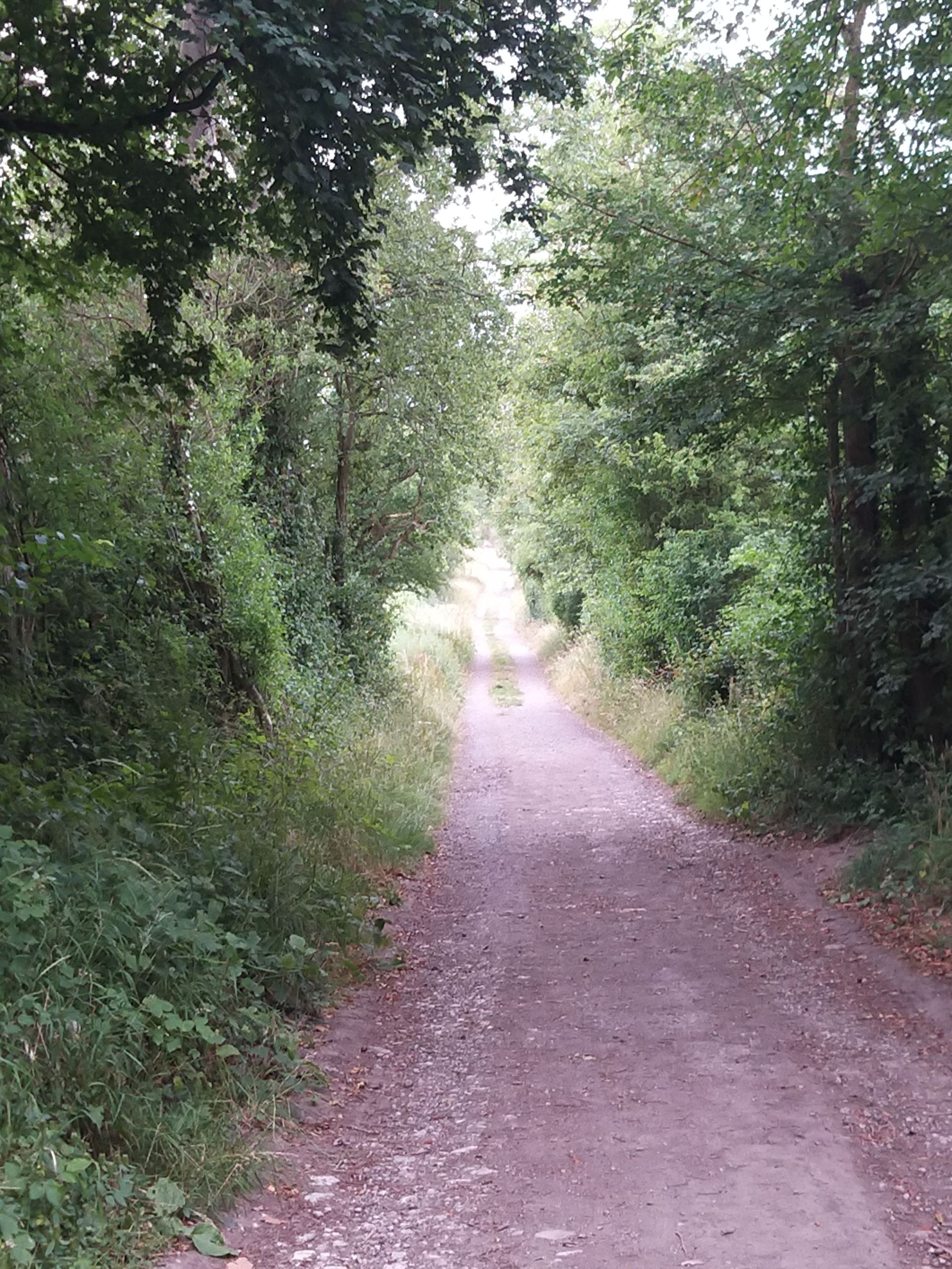 Lodge lane