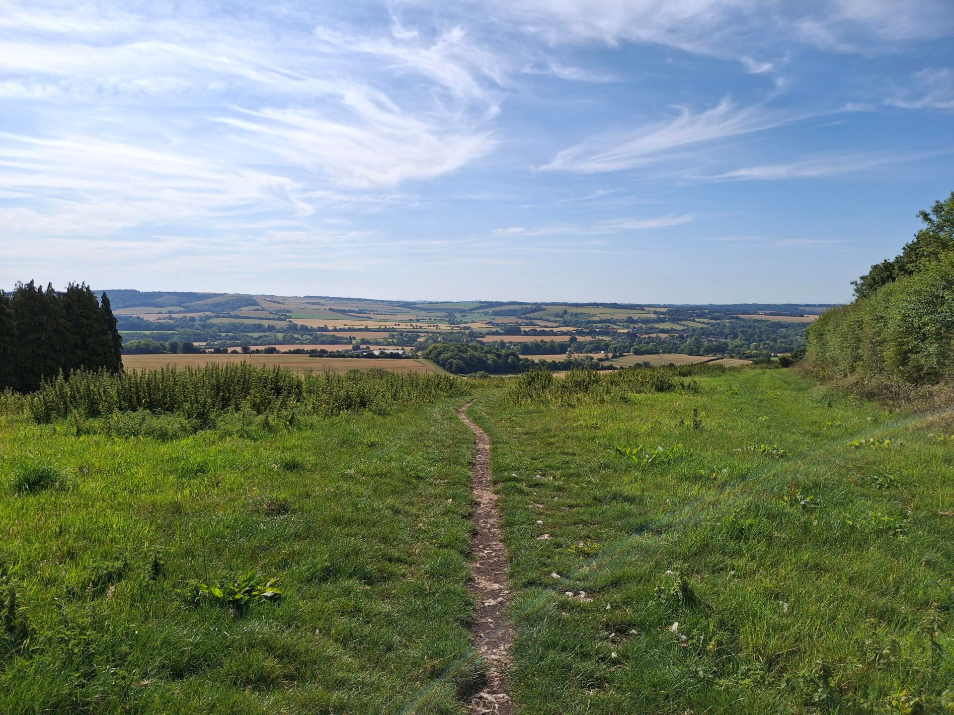 The South Downs Way looking south from near Beacon Hill.