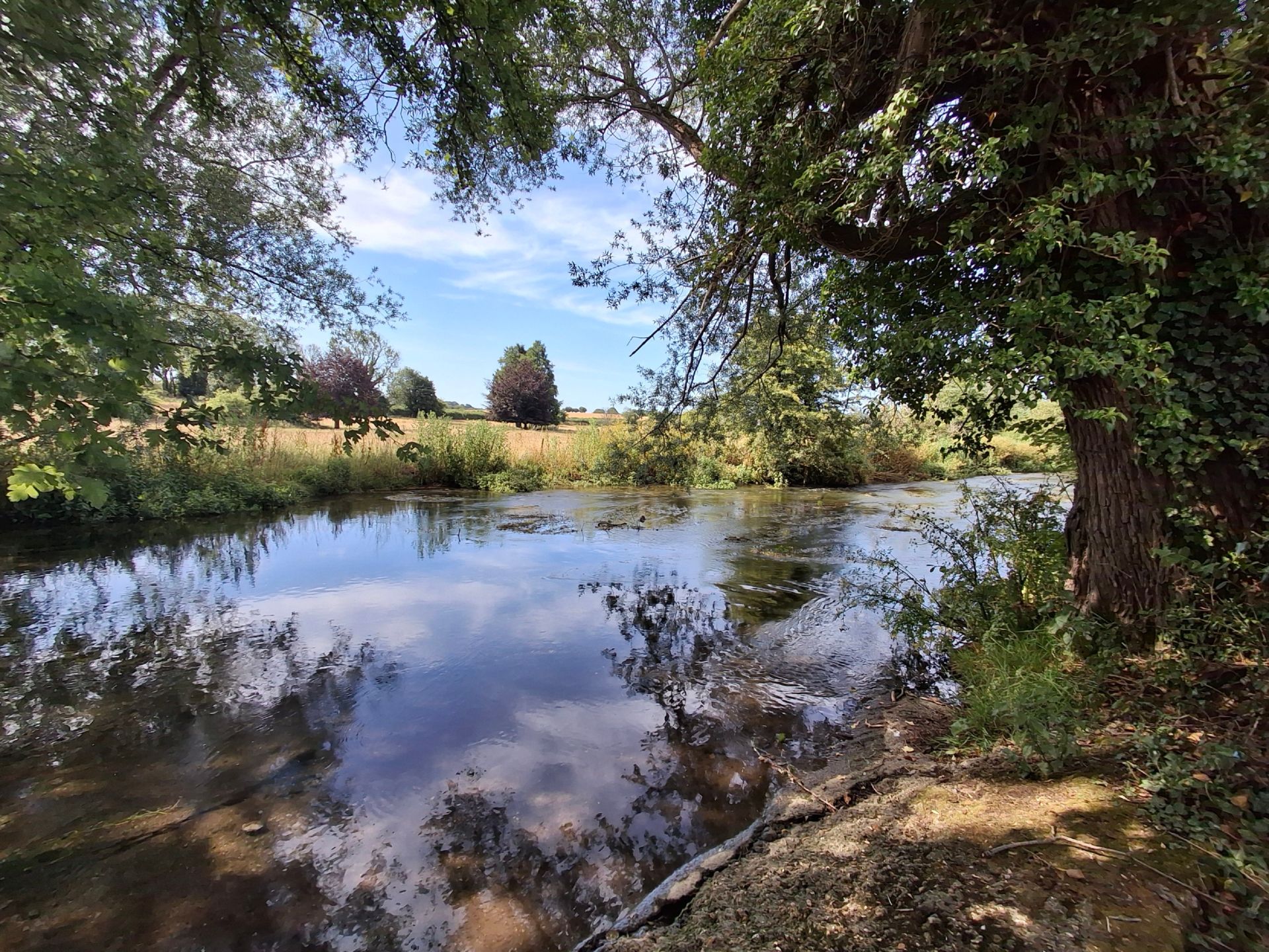 The River Meon near Exton