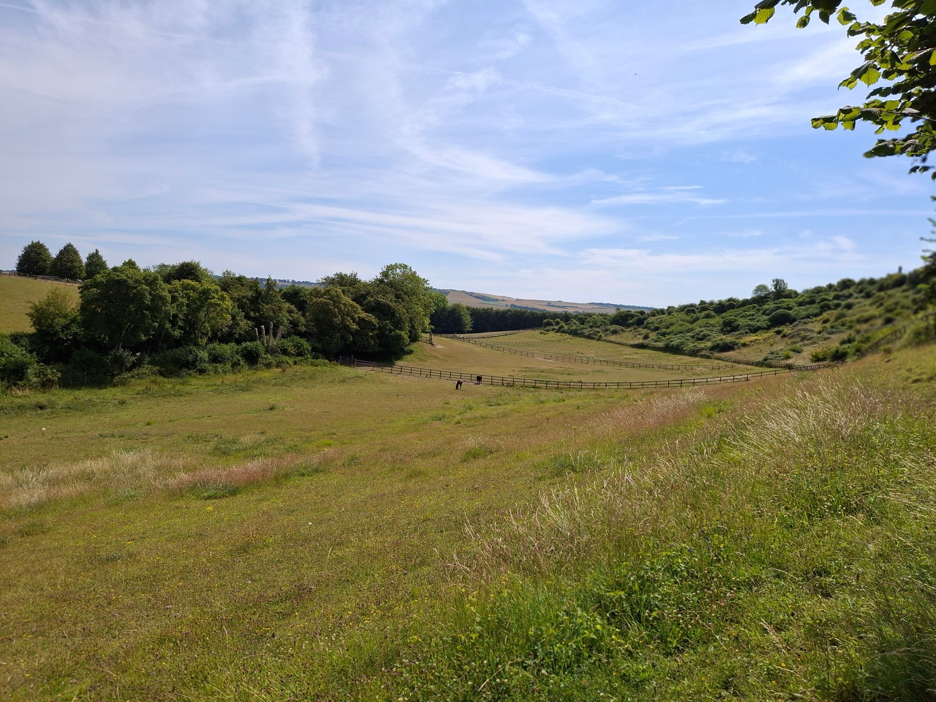 A dry valley view looking east towards Meonstoke.