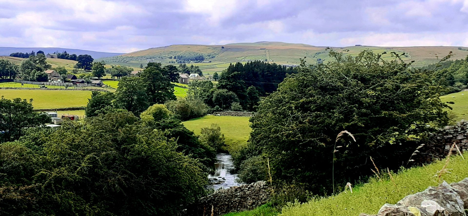 Another field
