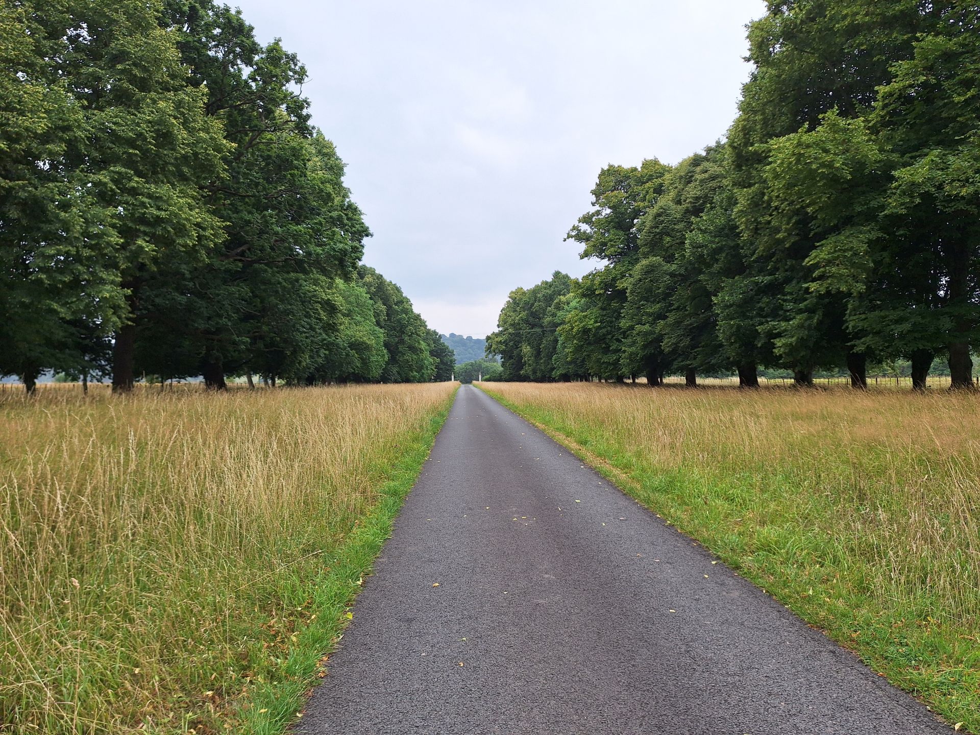 avenue