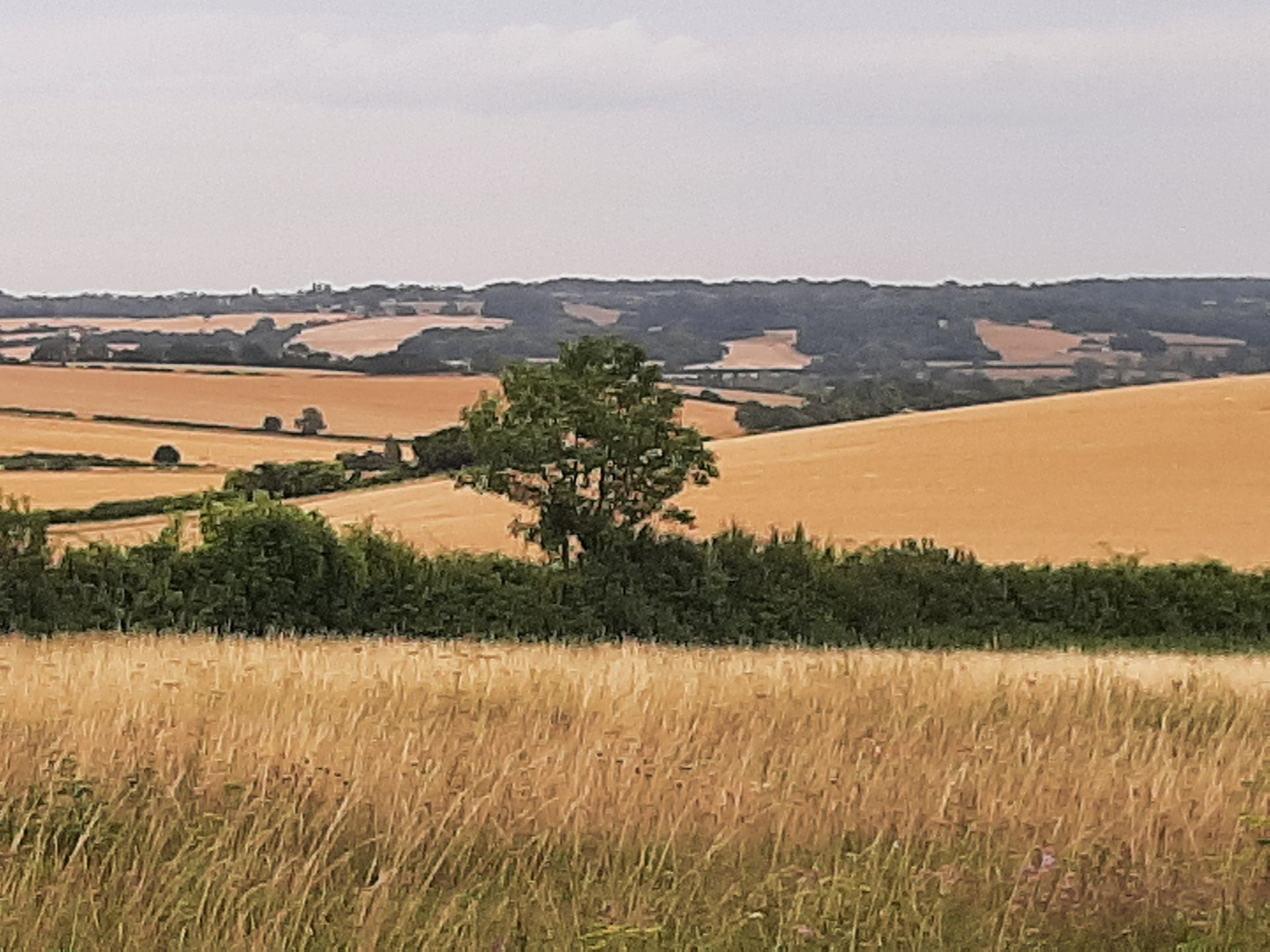 Avon Valley