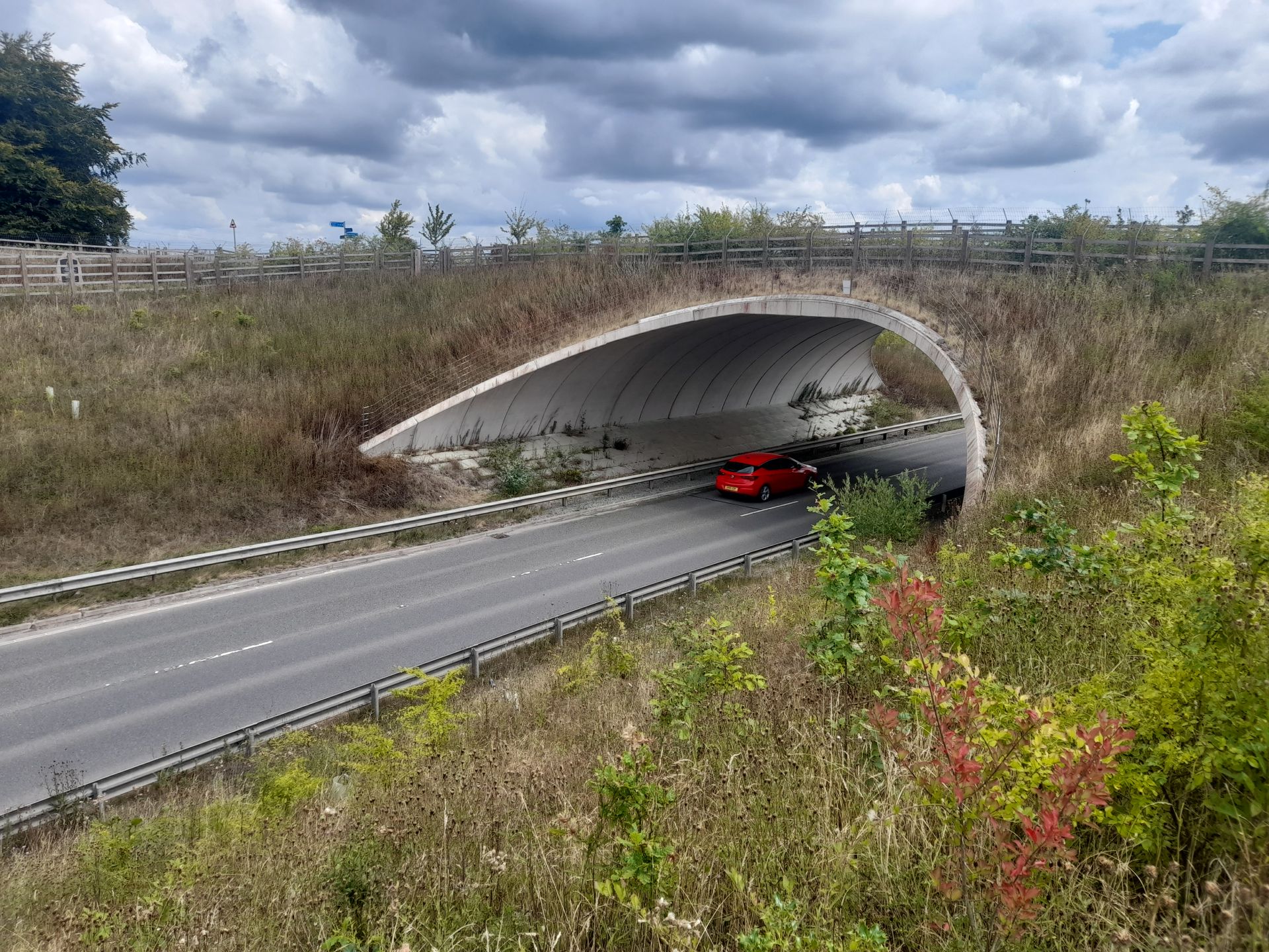 Observer Bridge