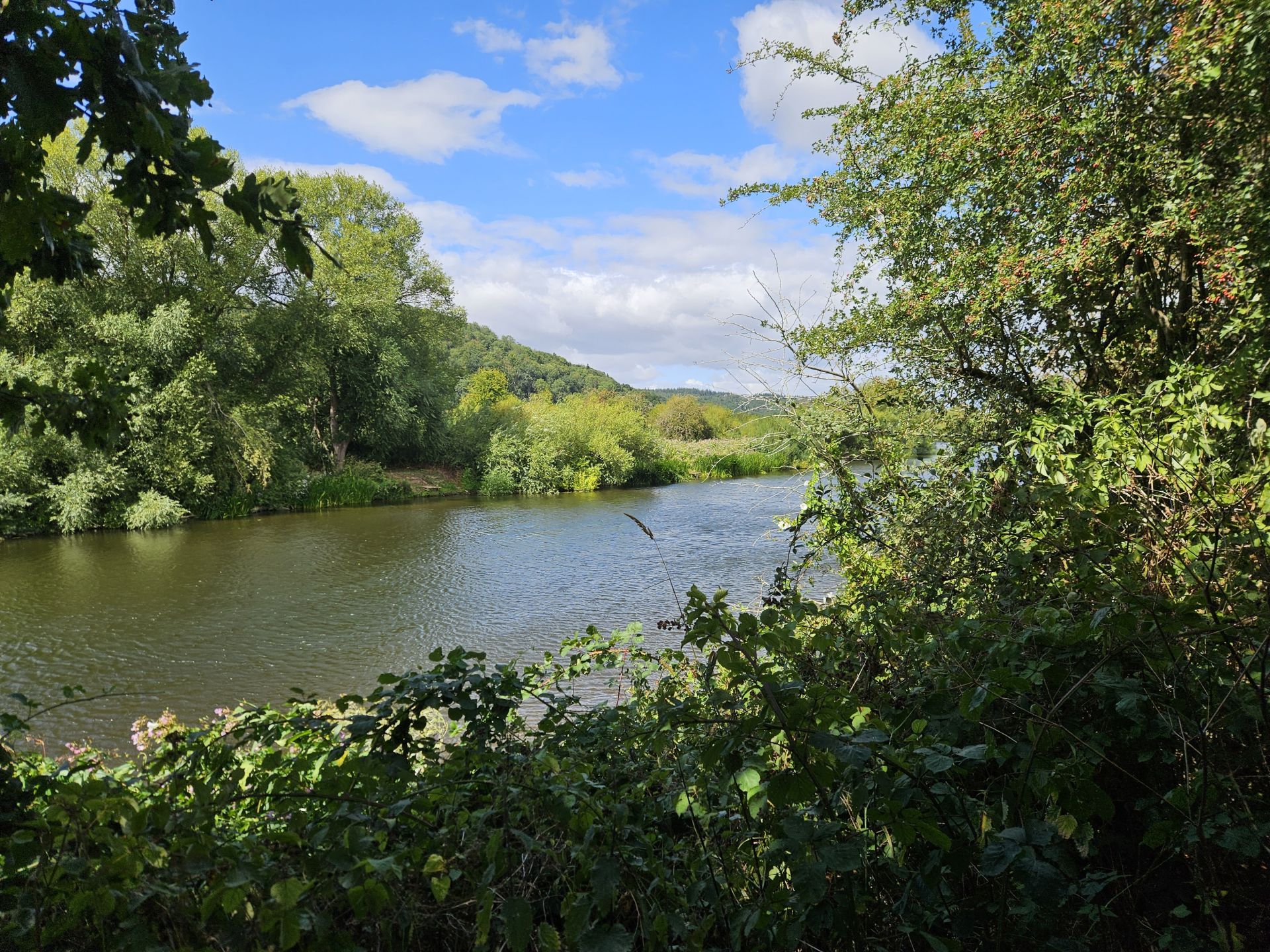 River view
