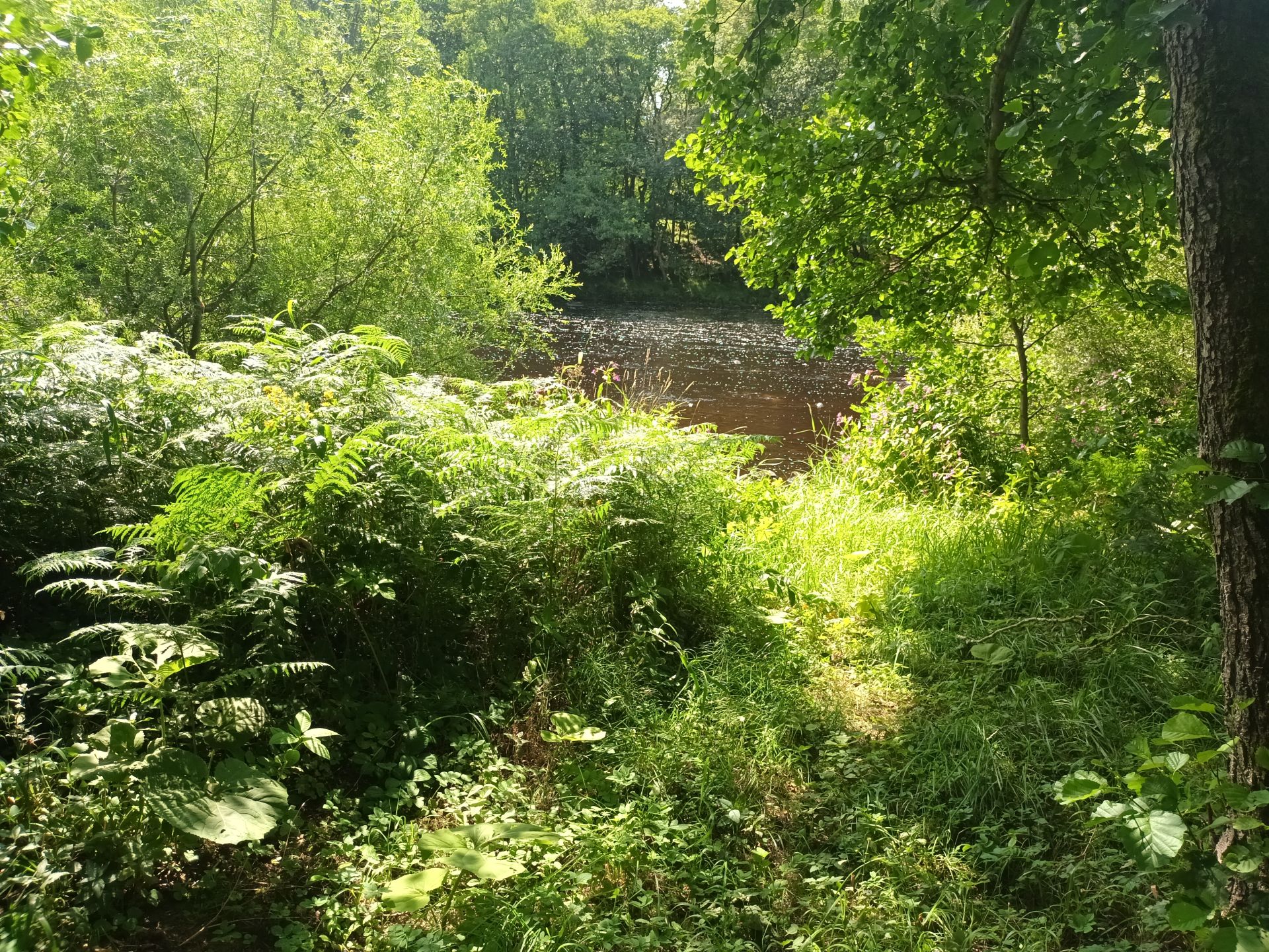 River 2