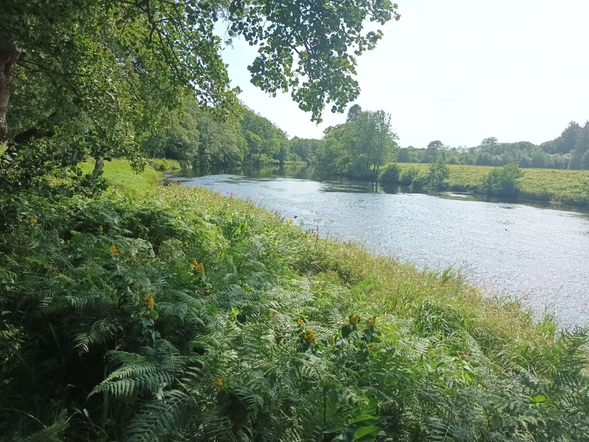 River 1
