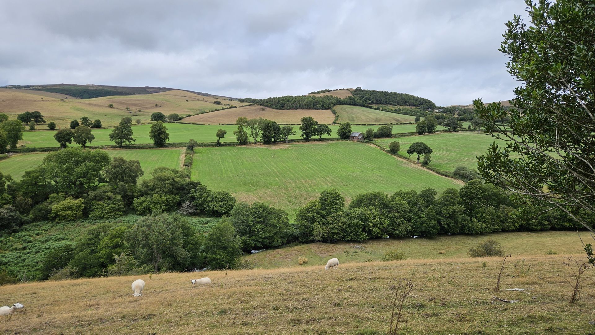 View from Adstone Hill of Prolley Moor