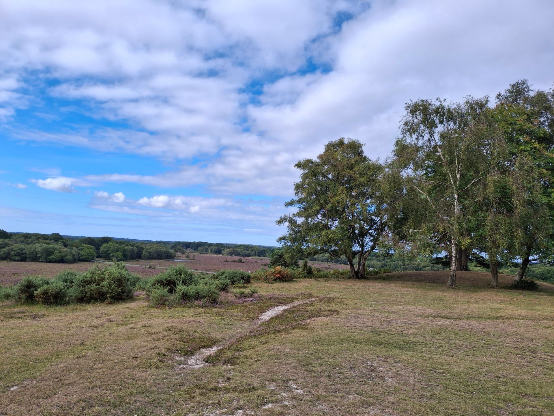 The view west from Marchwood Inclosure