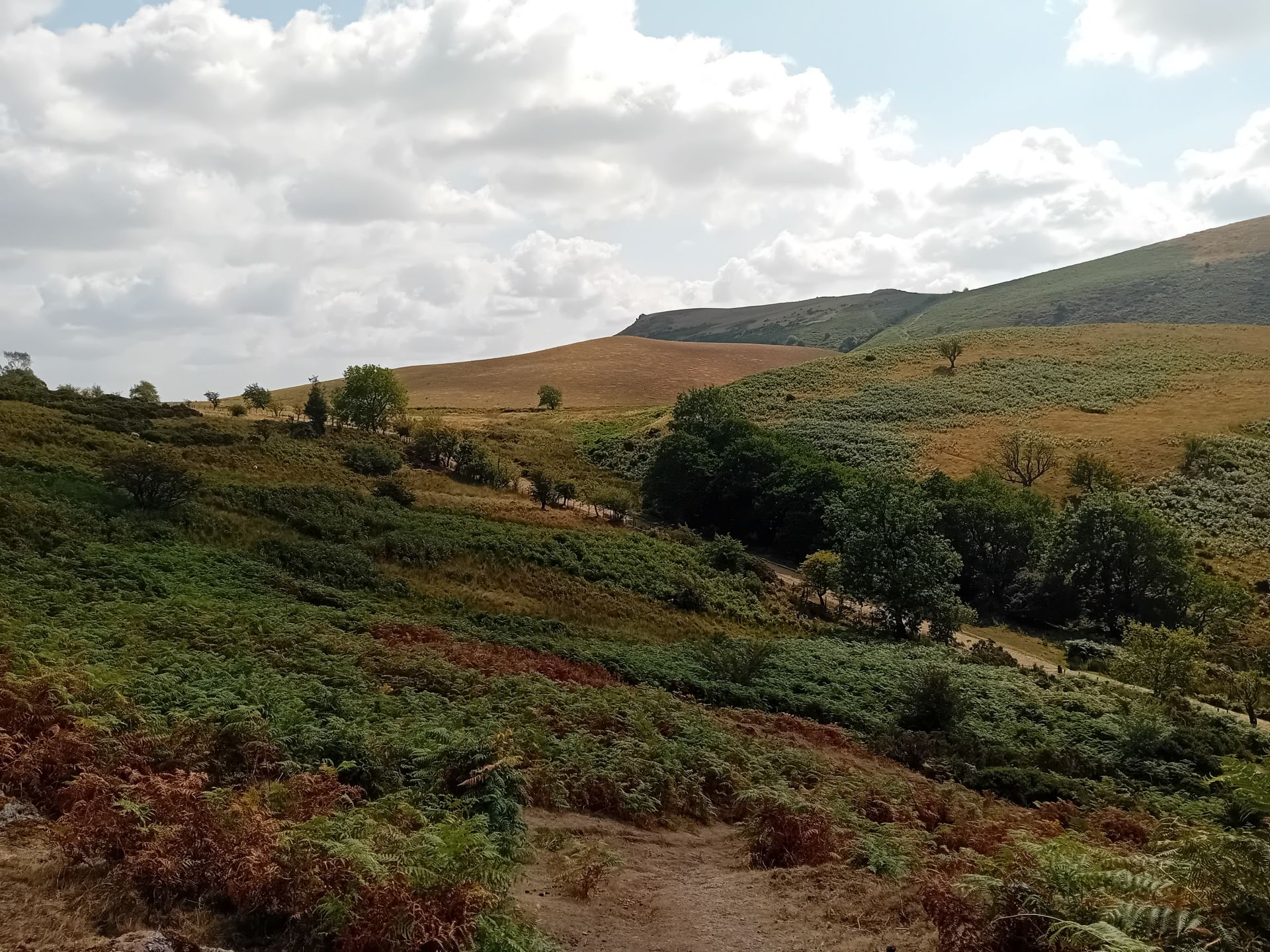 Another view from the hill.