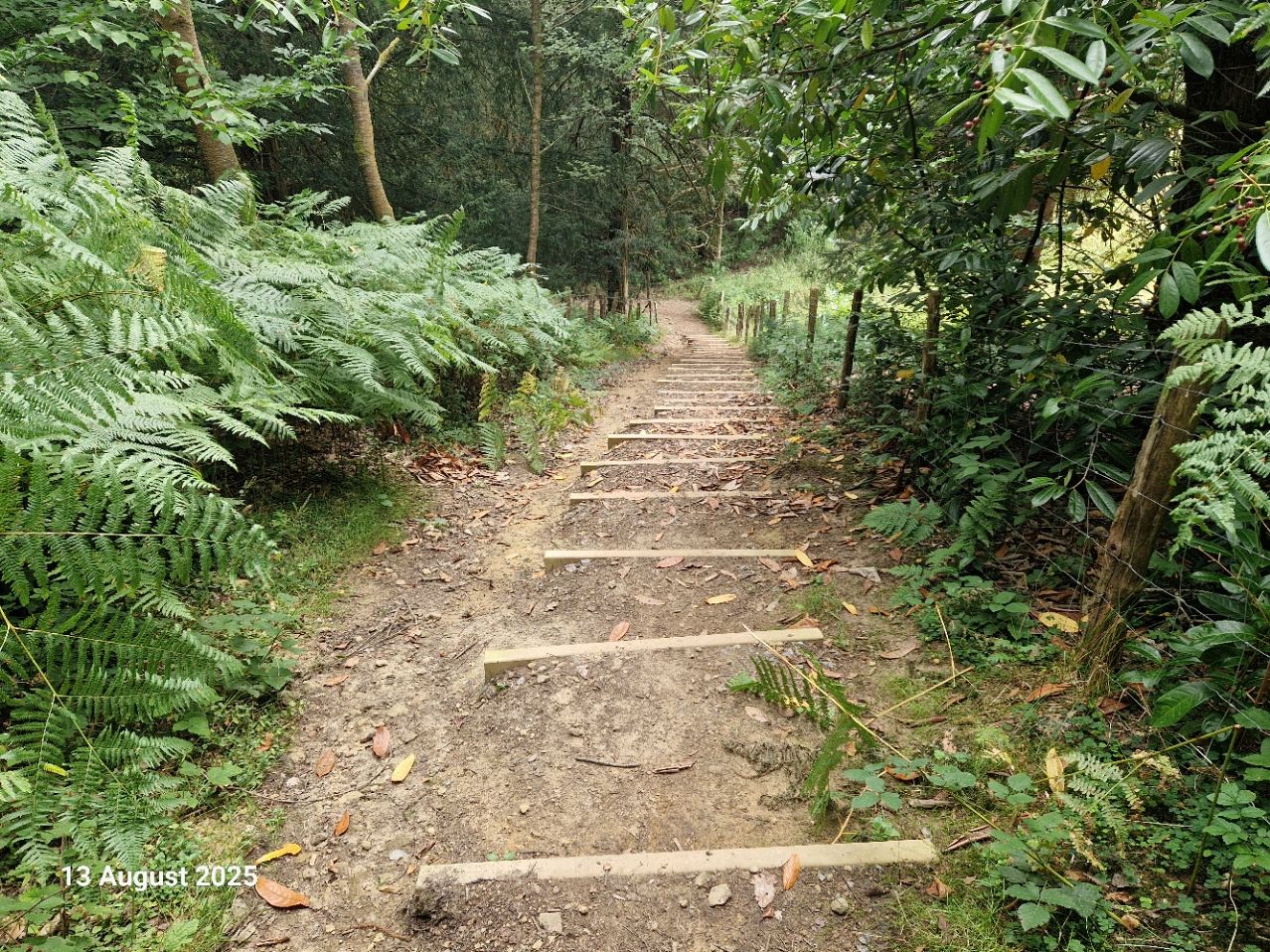 Steps