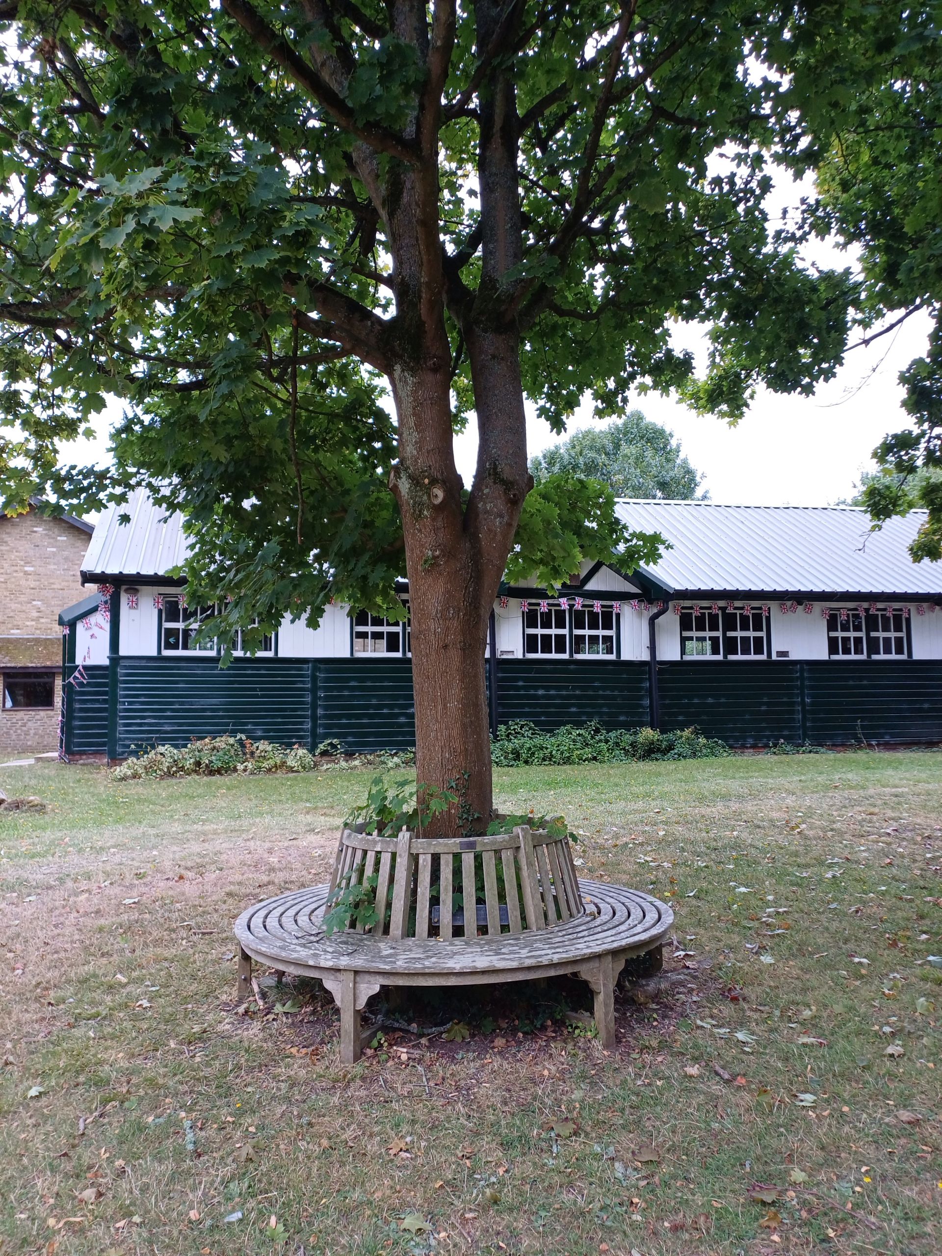 Seat around tree