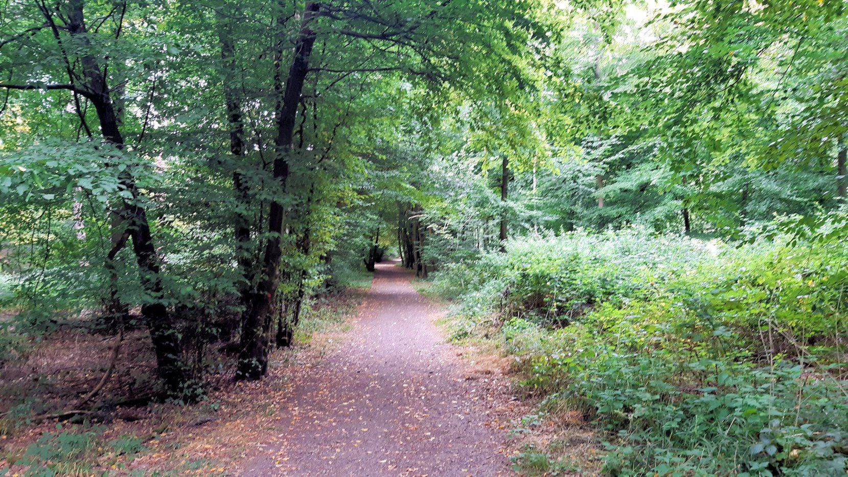 Penn Wood