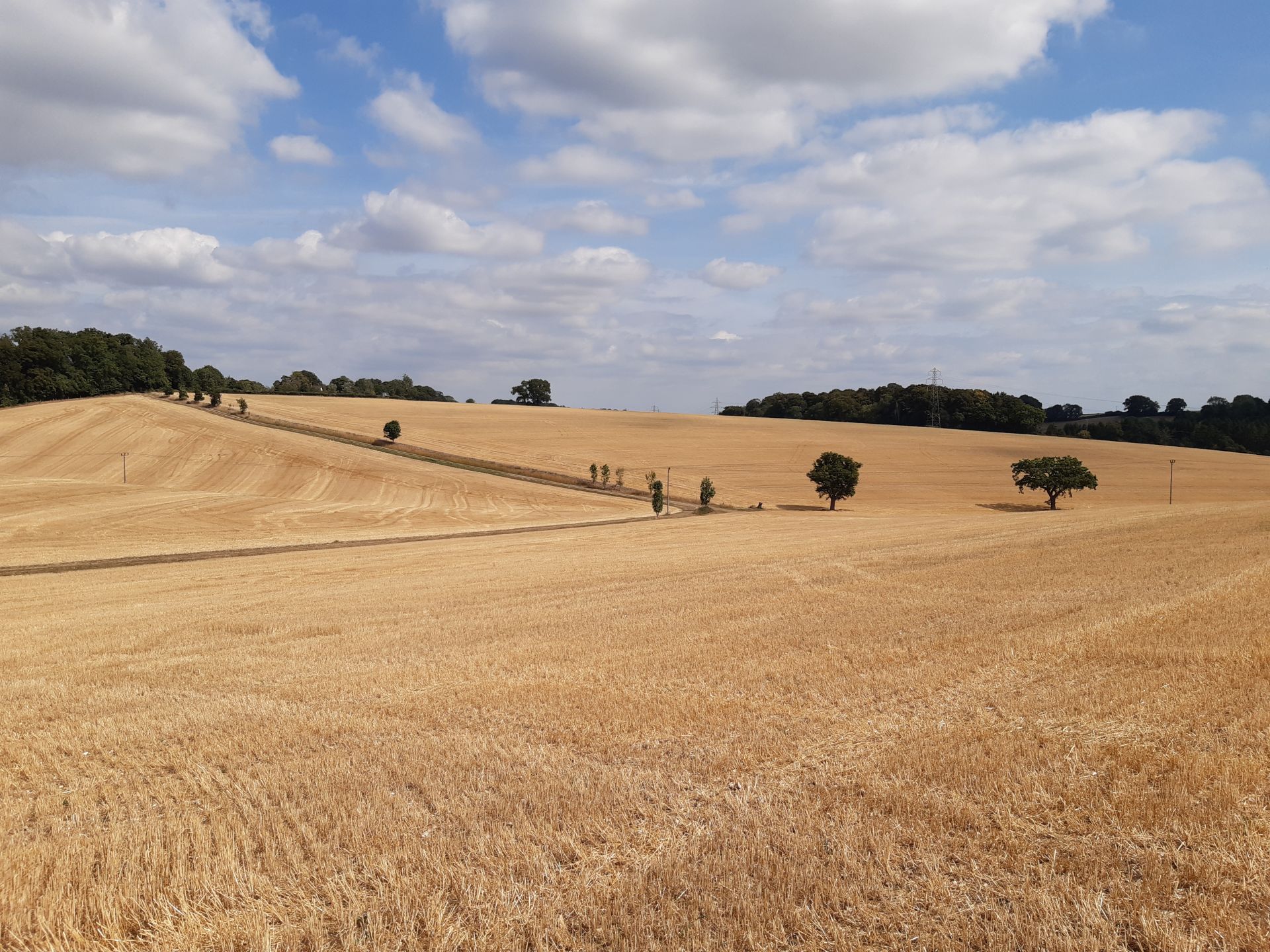 Across the fields