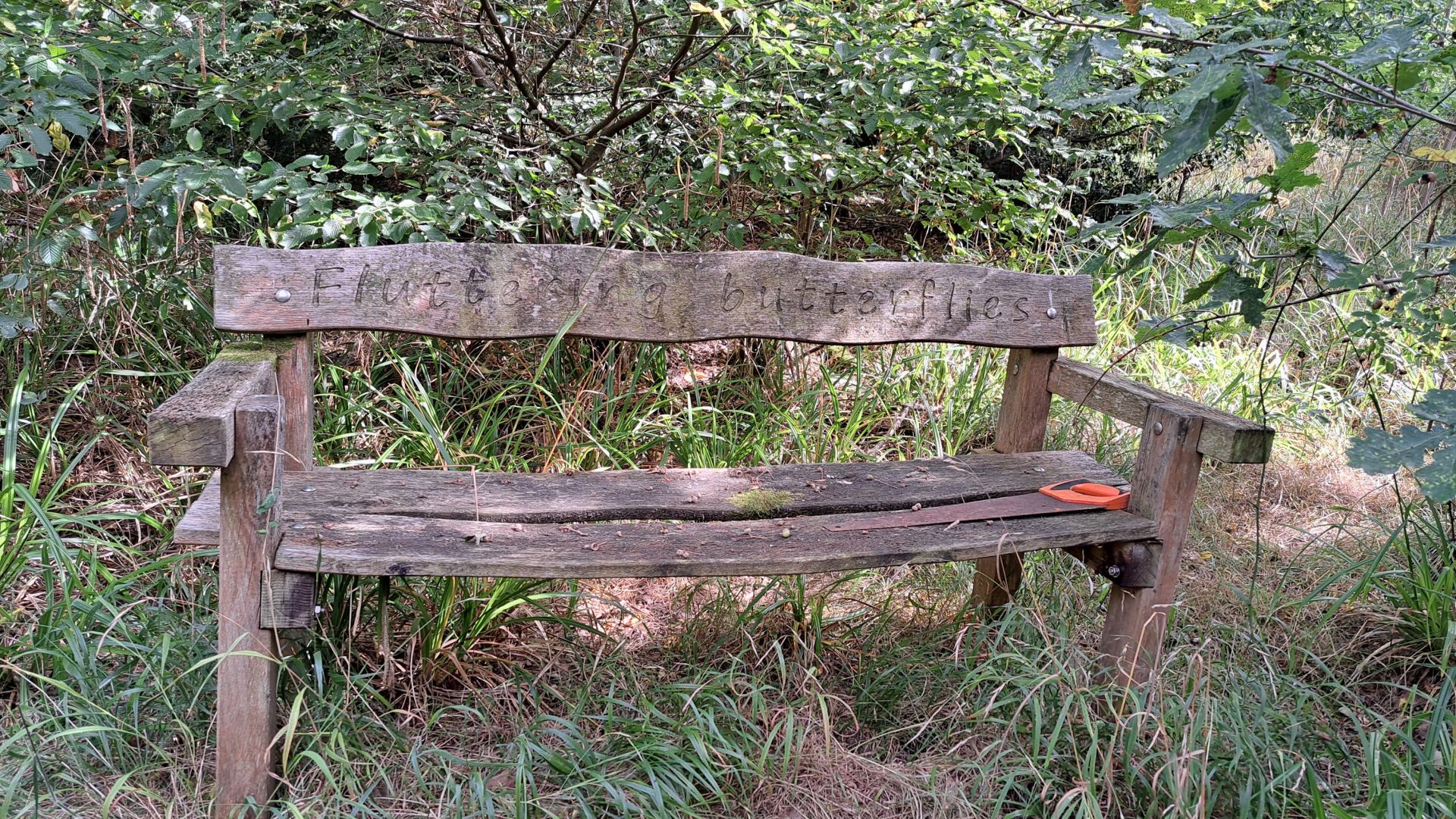 Rest areas within the woods