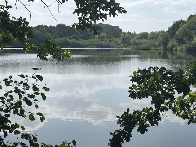 Furnace pond