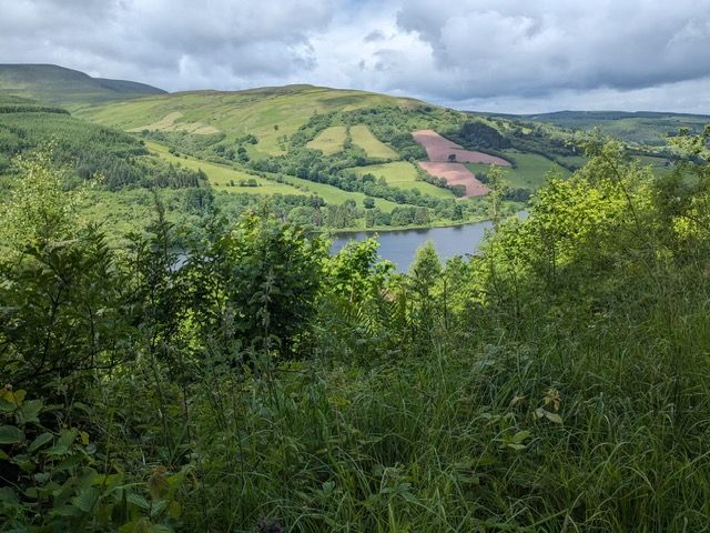 Tal y Bont Reservoir