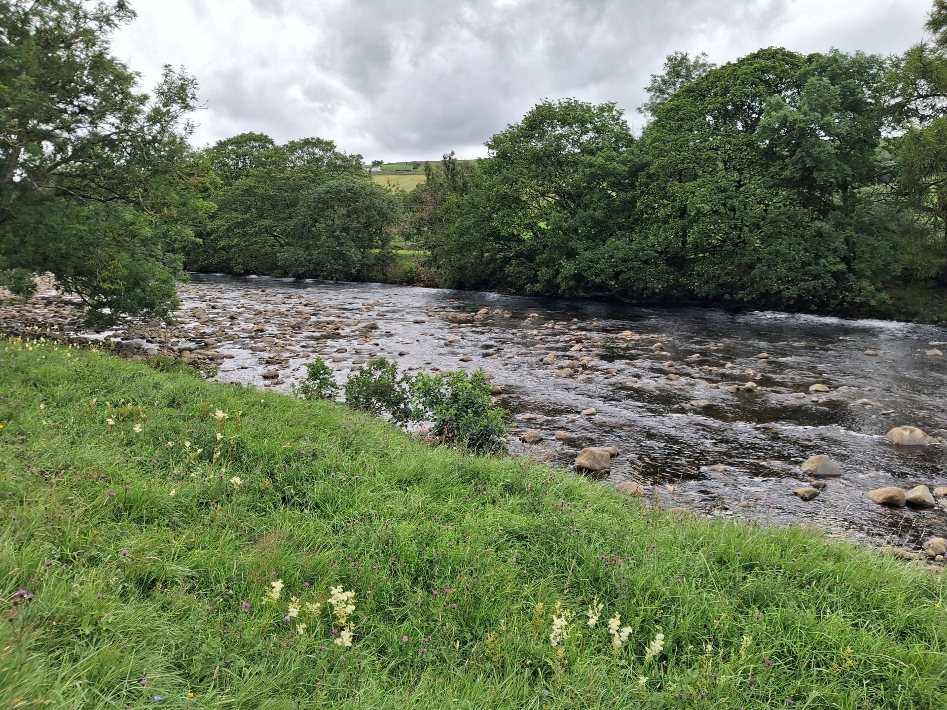 view of the river tees