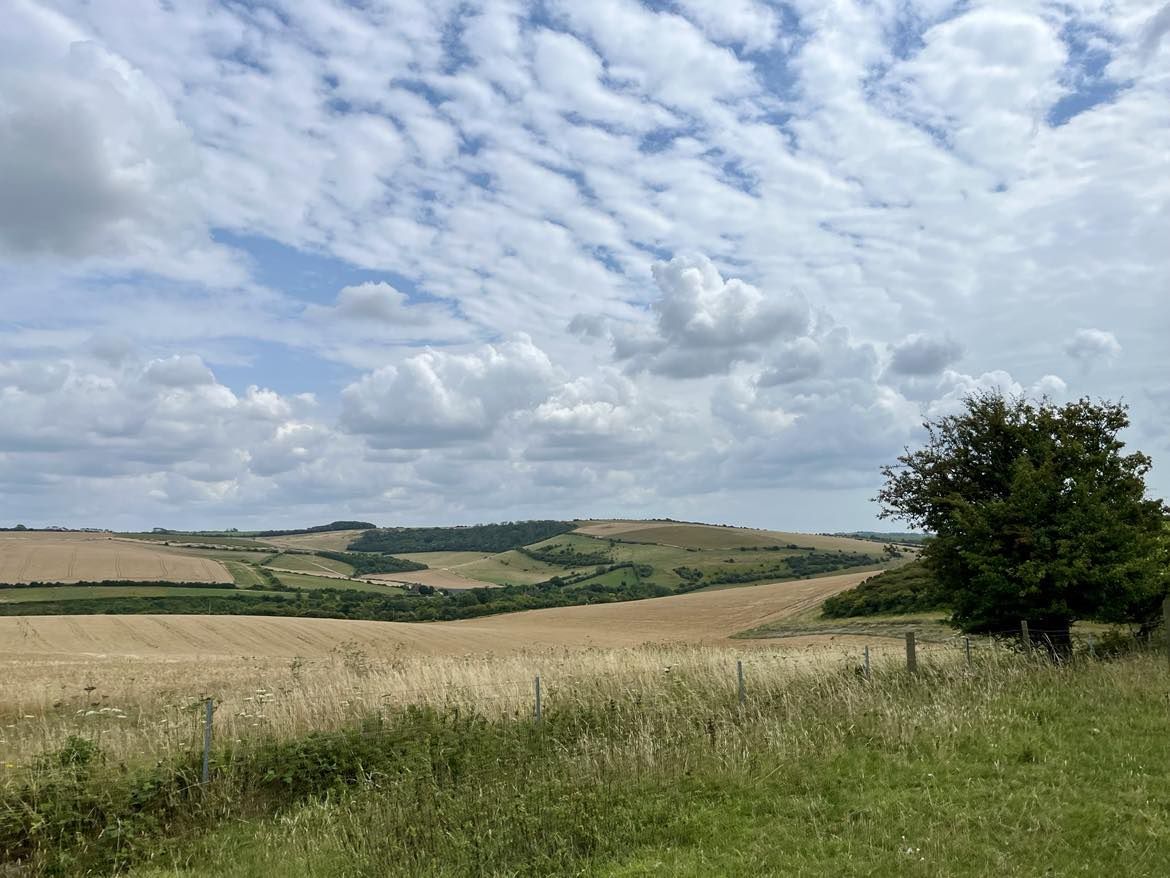 Fields and a "mackerel sky"