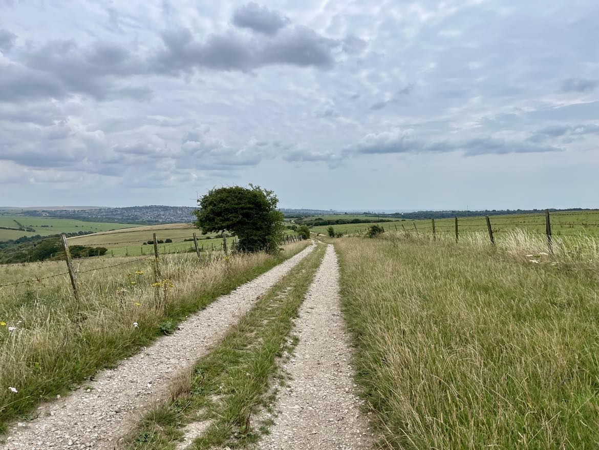 A field and path