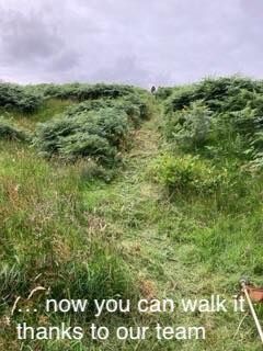 clear path