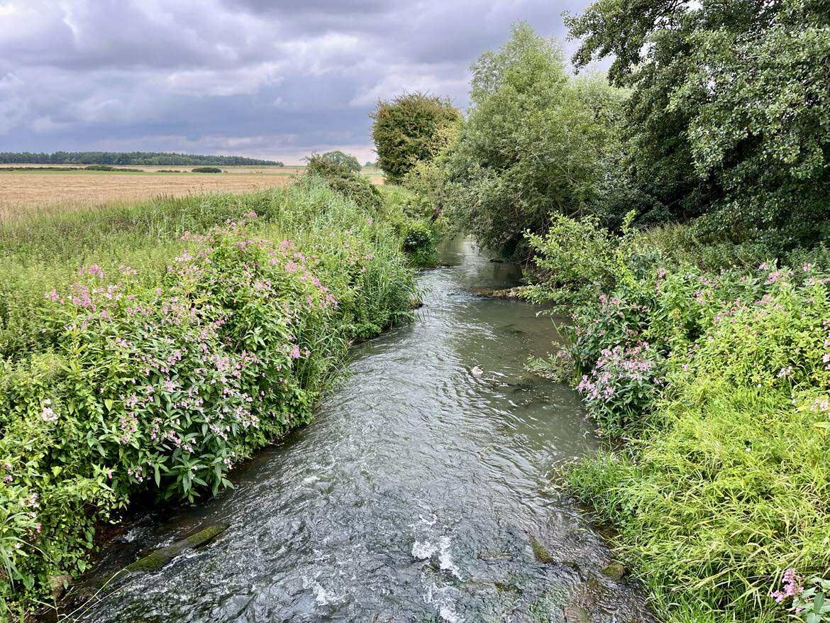 A river