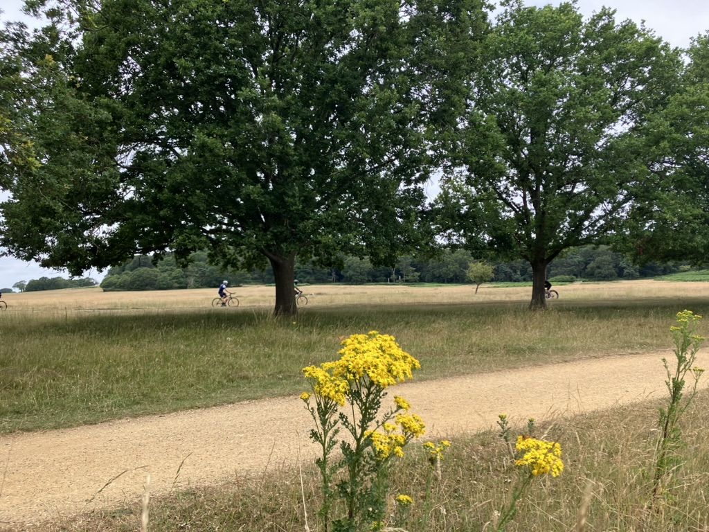 Richmond Park