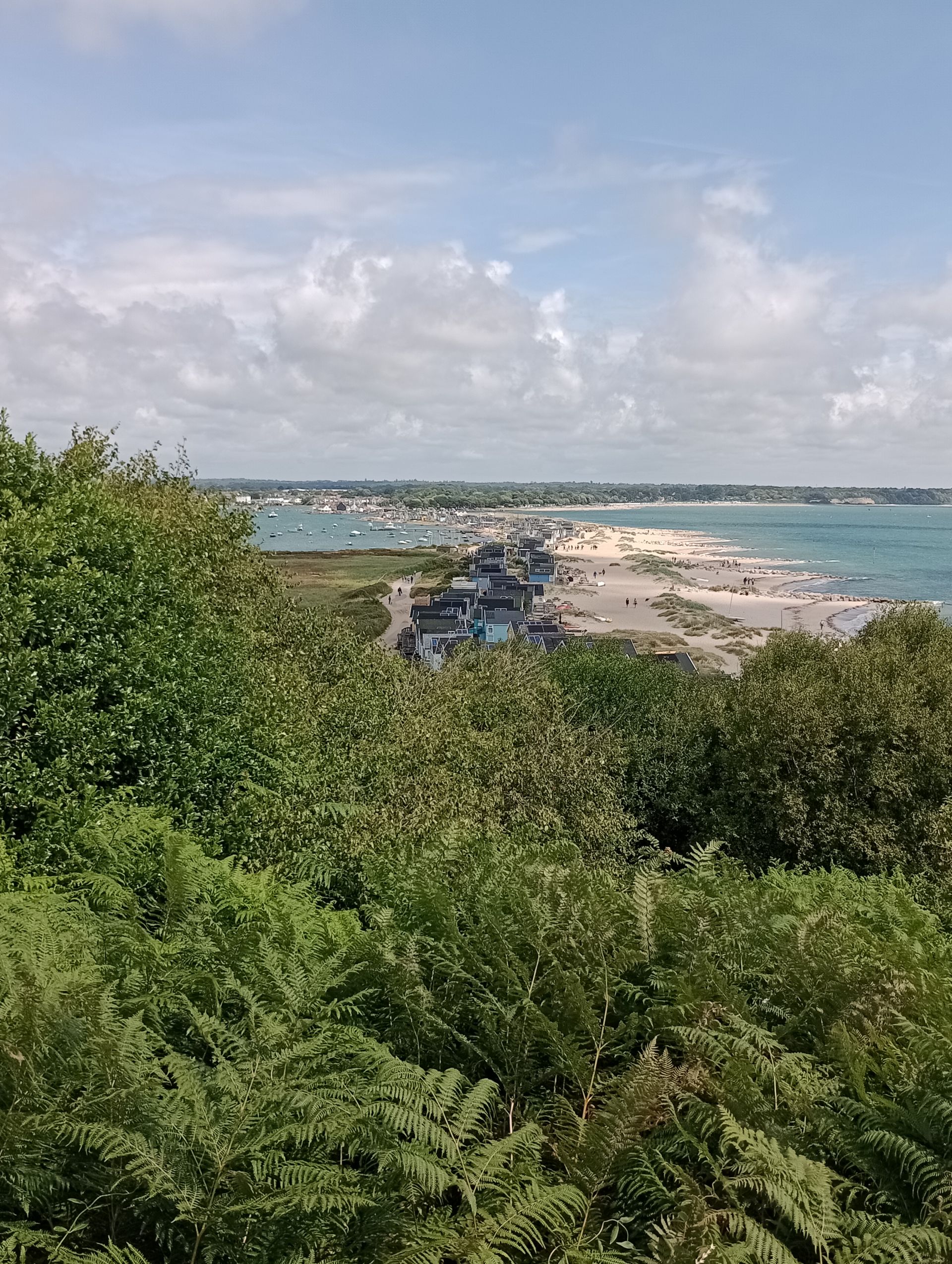 Christchurch Harbour 