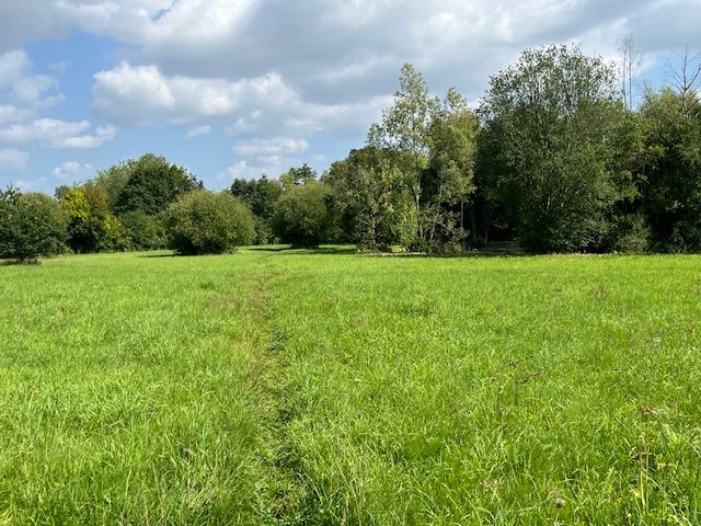 Open meadows