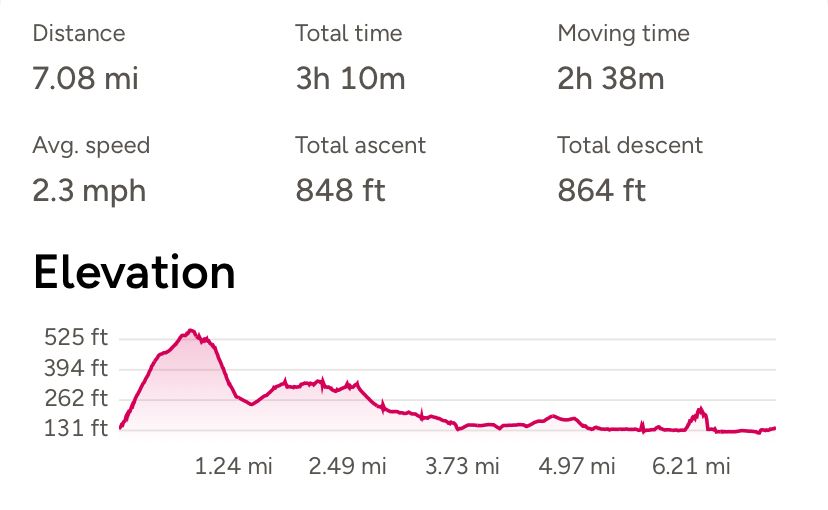 Walk profile