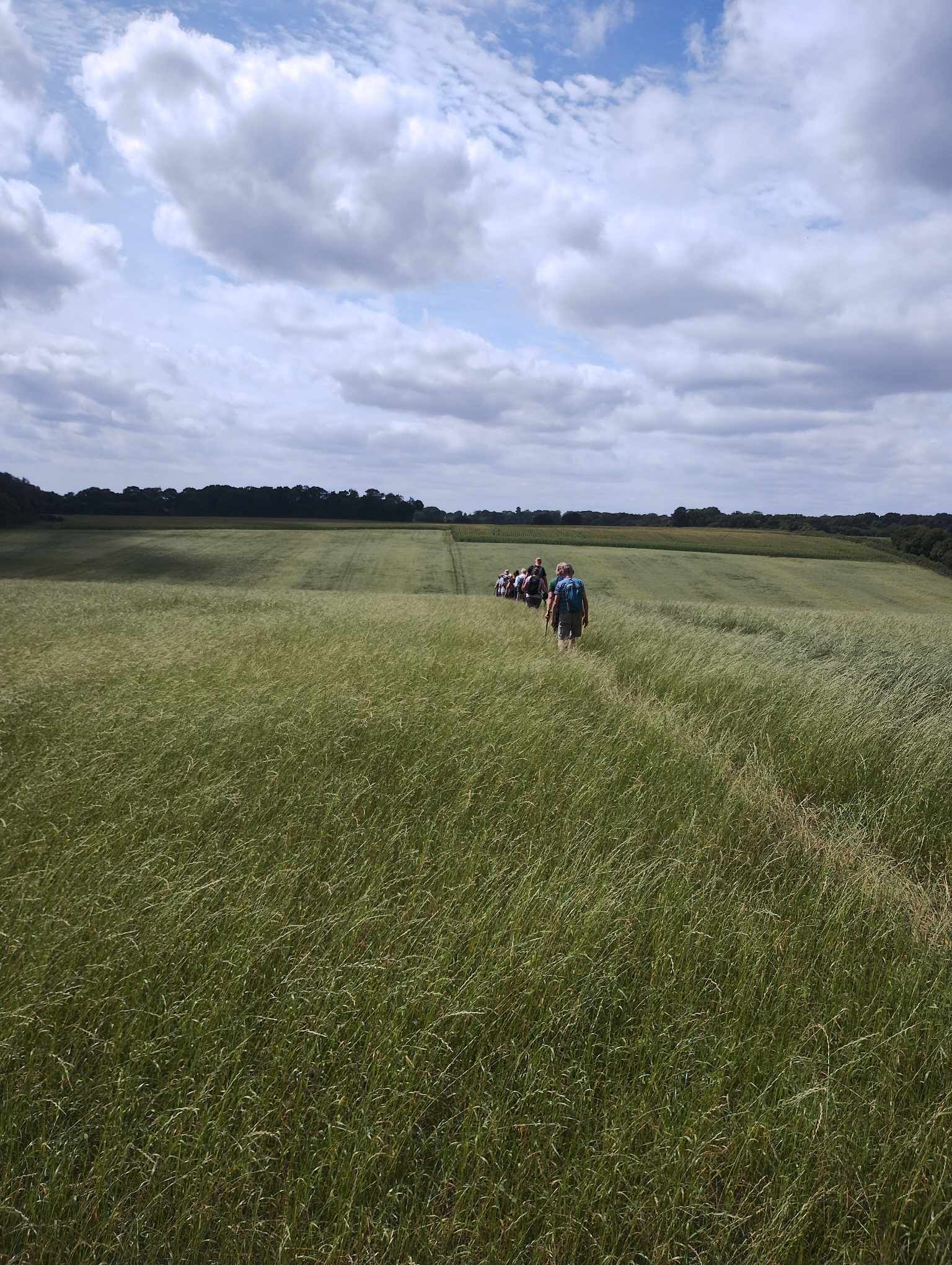 Ramblers walking across field under grey skies