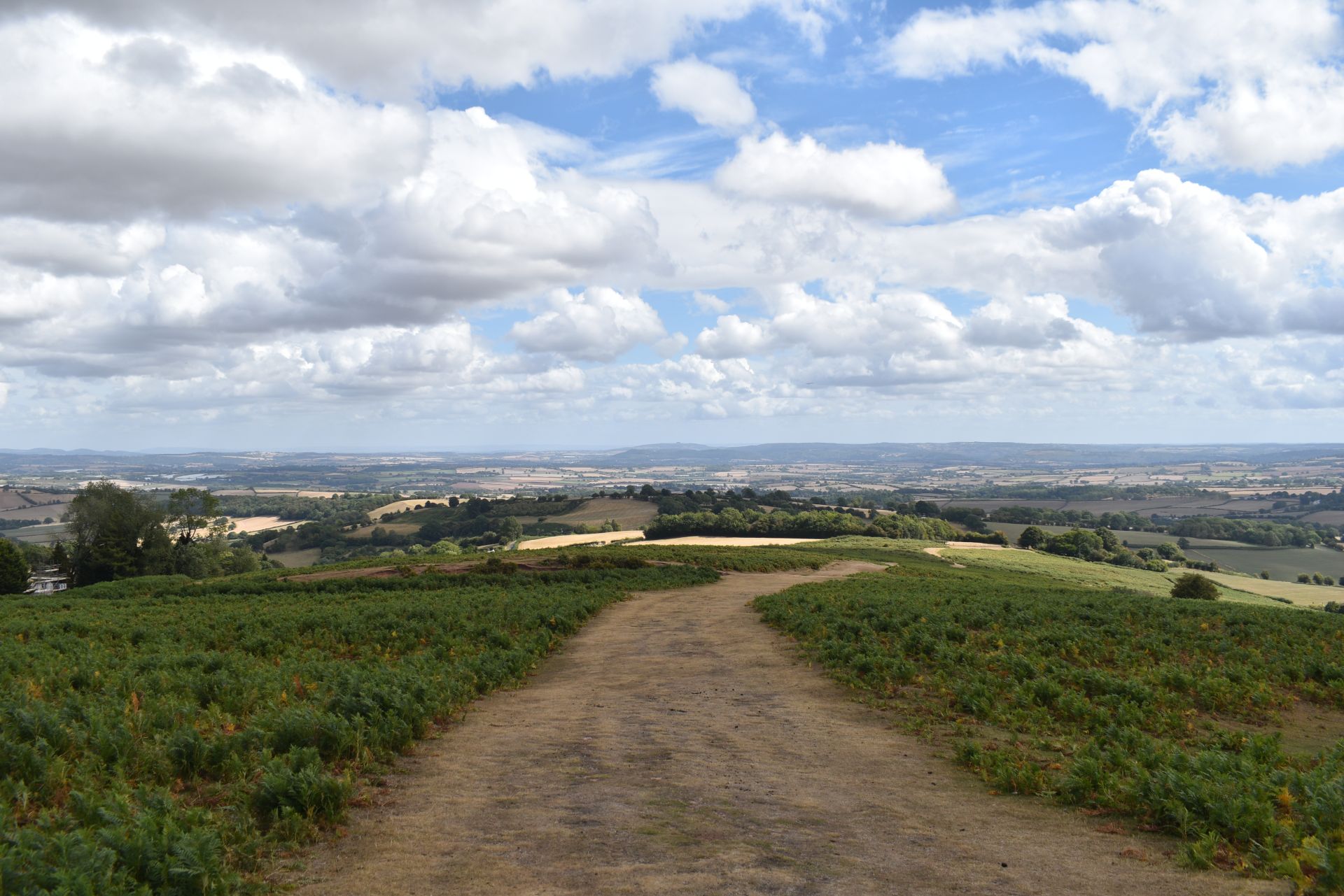 Descending Garway Hill