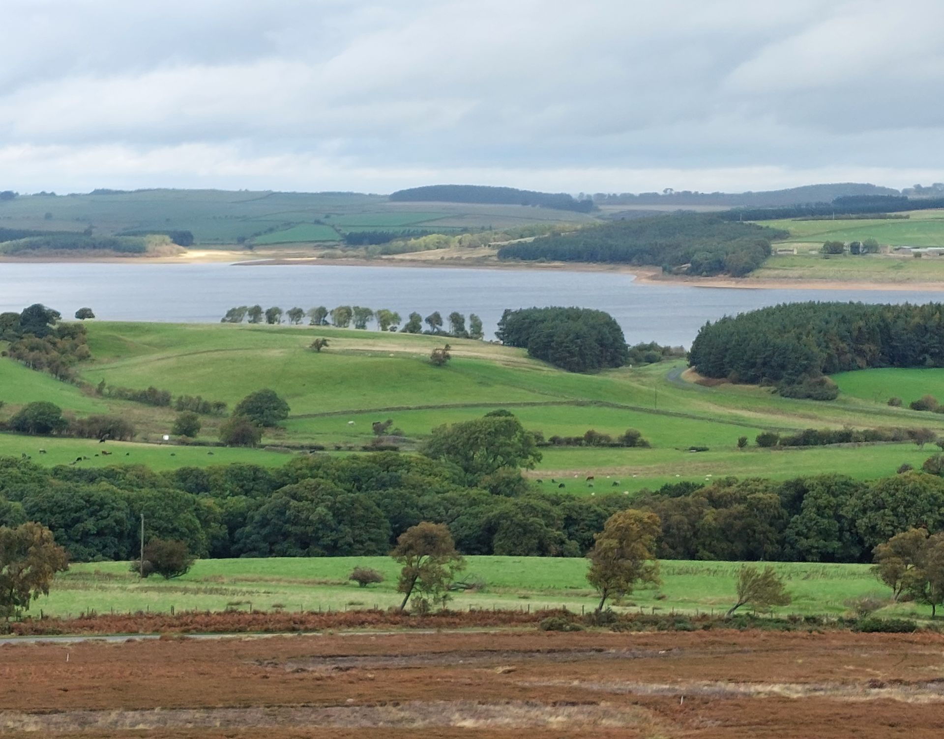 Derwent Reservoir