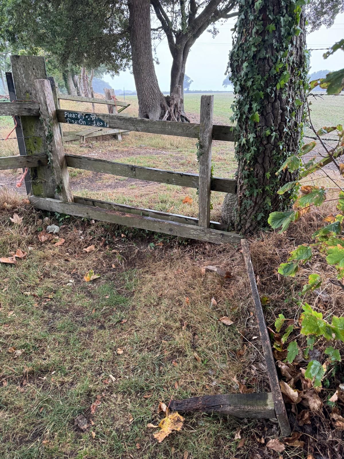 Broken stile - has been reported, but be aware and willing  to climb over 