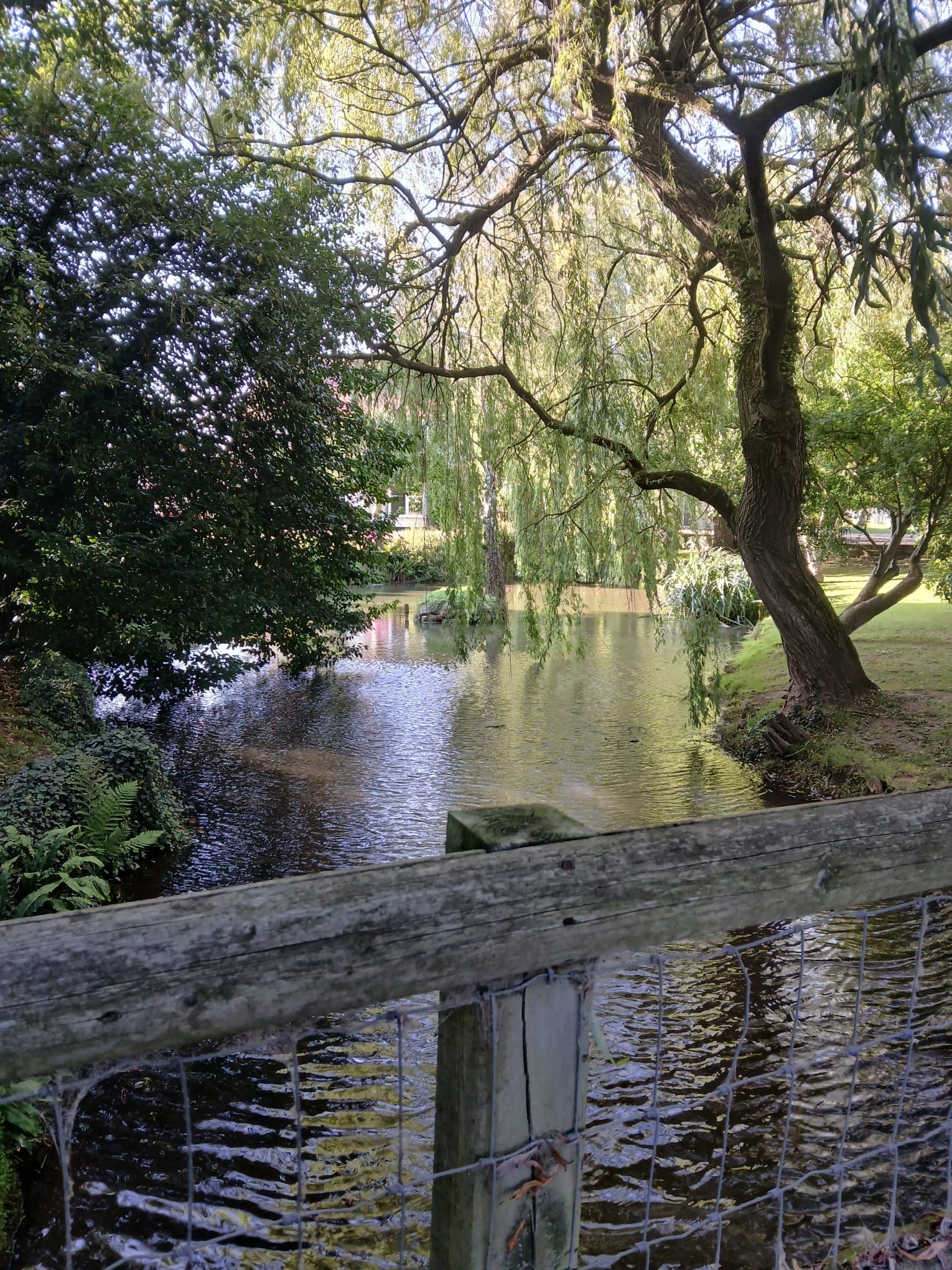 A river view