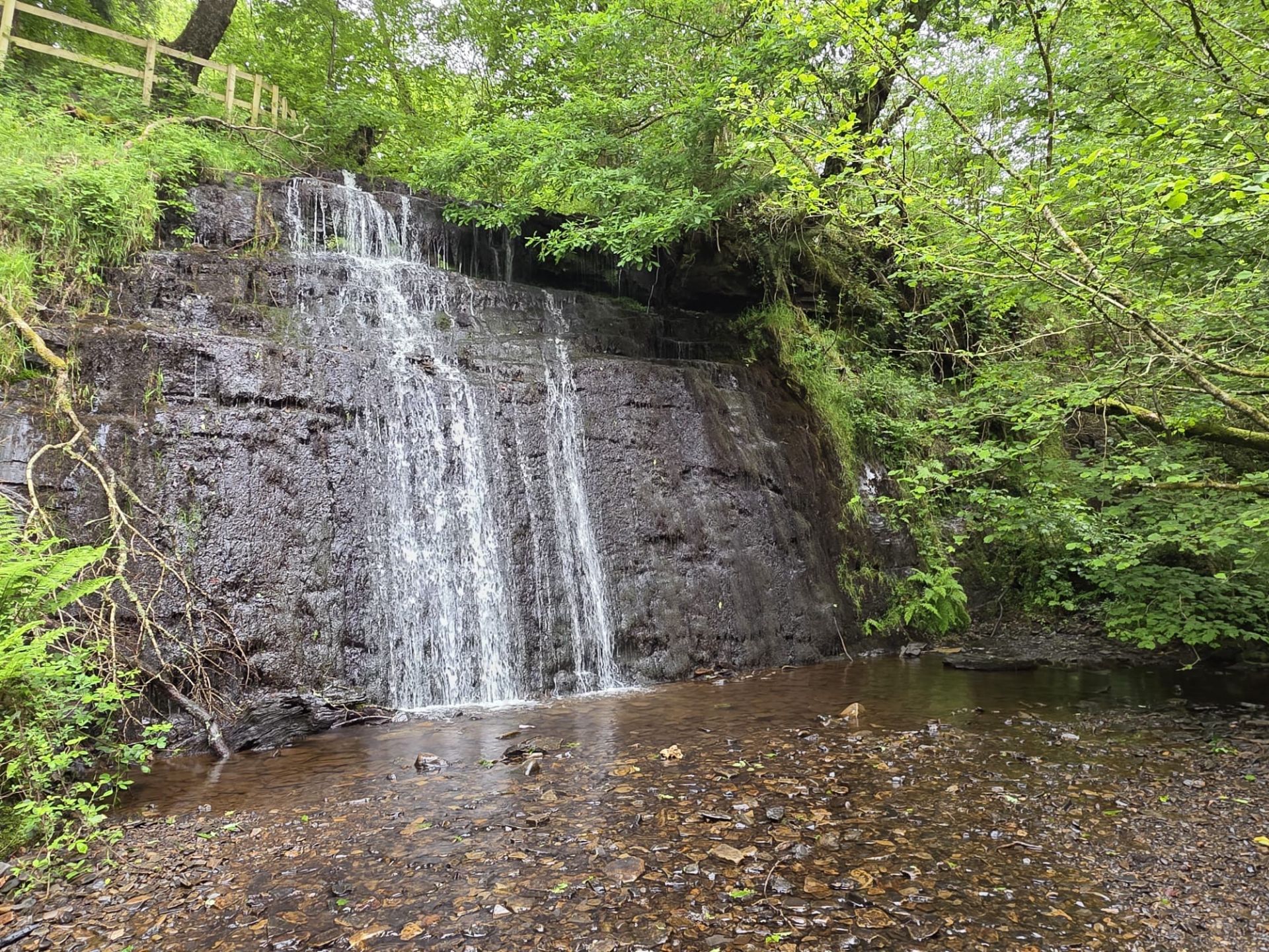 Pistyll-goleu waterfall
